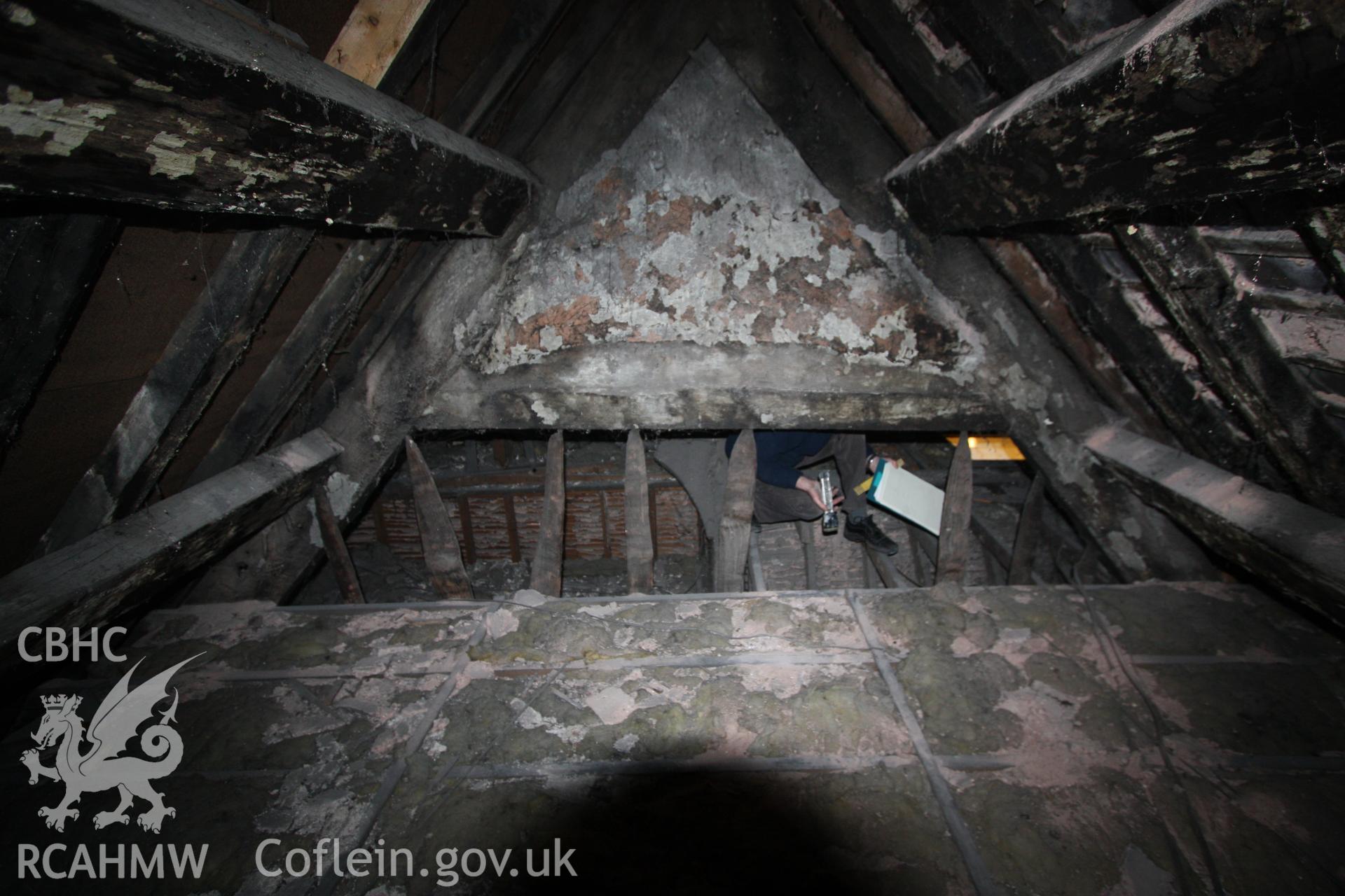 Interior: reverse side of hall end truss, showing trenched purlins, collar, staves and wattle and daub infill.