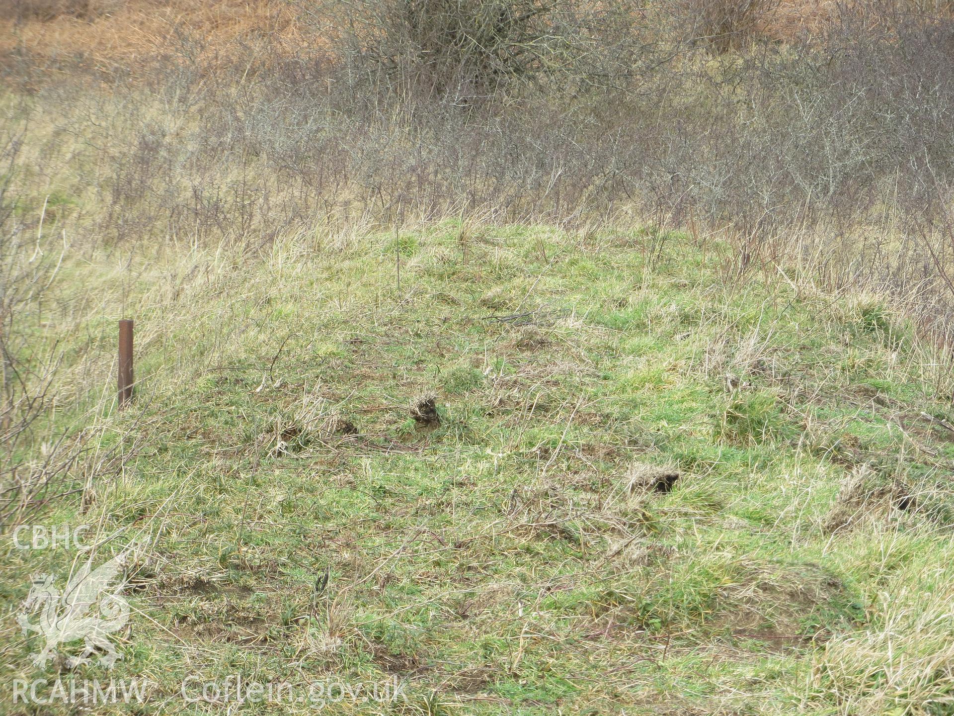 Traces of former superstructure on top of mound.