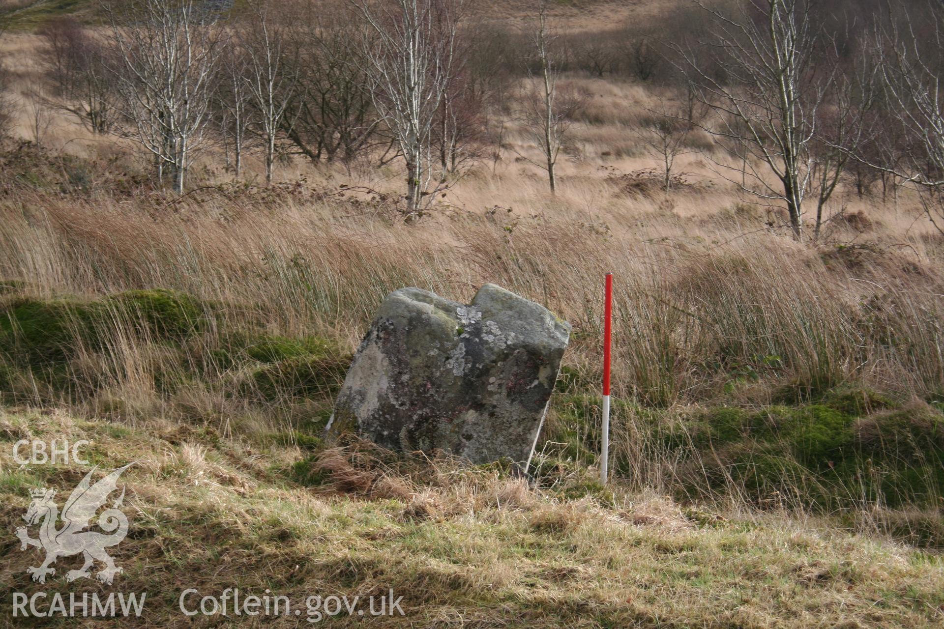 View from the north-west; 1m scale.