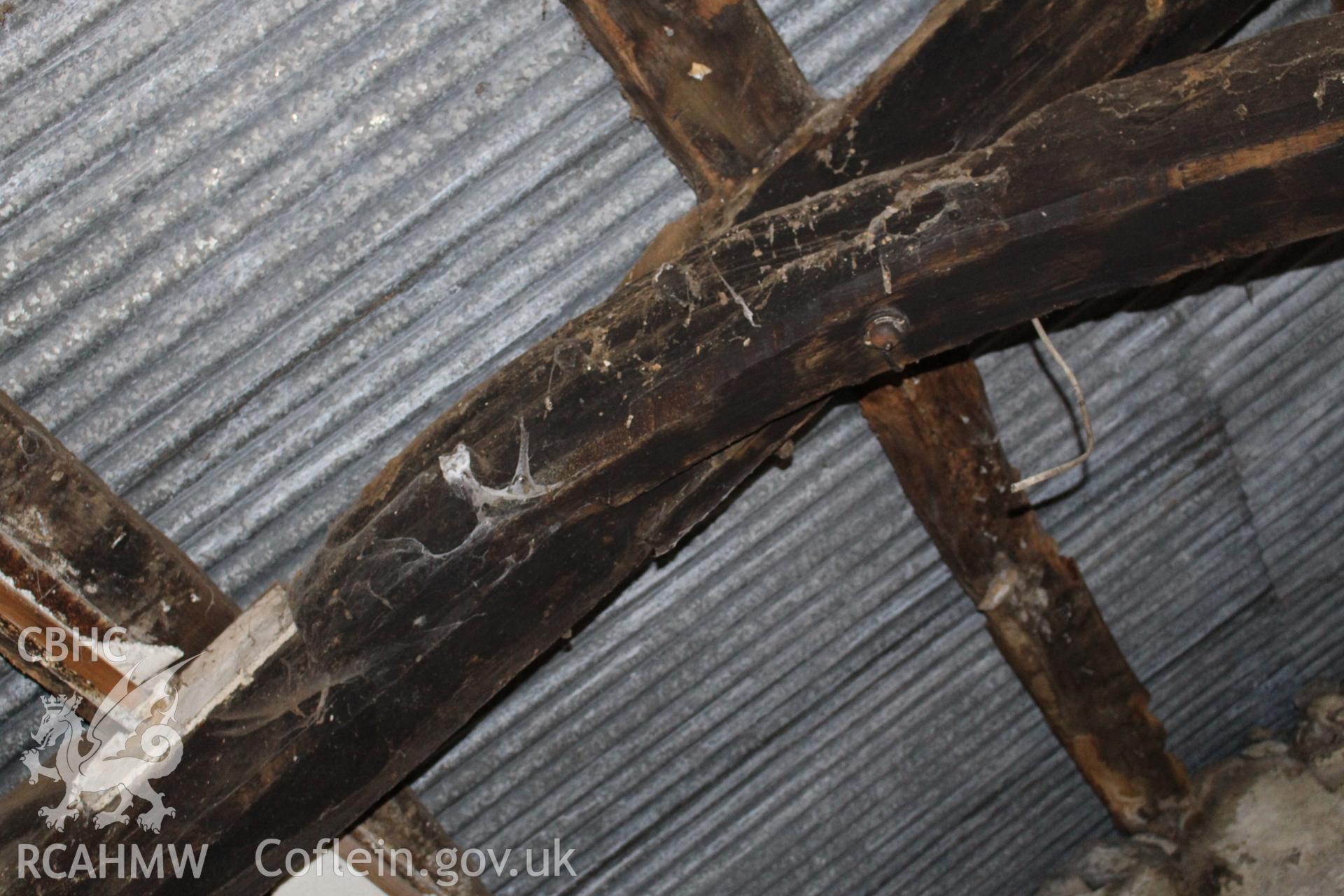 Interior: curve of the collar demonstrating its previous use as a cruck.