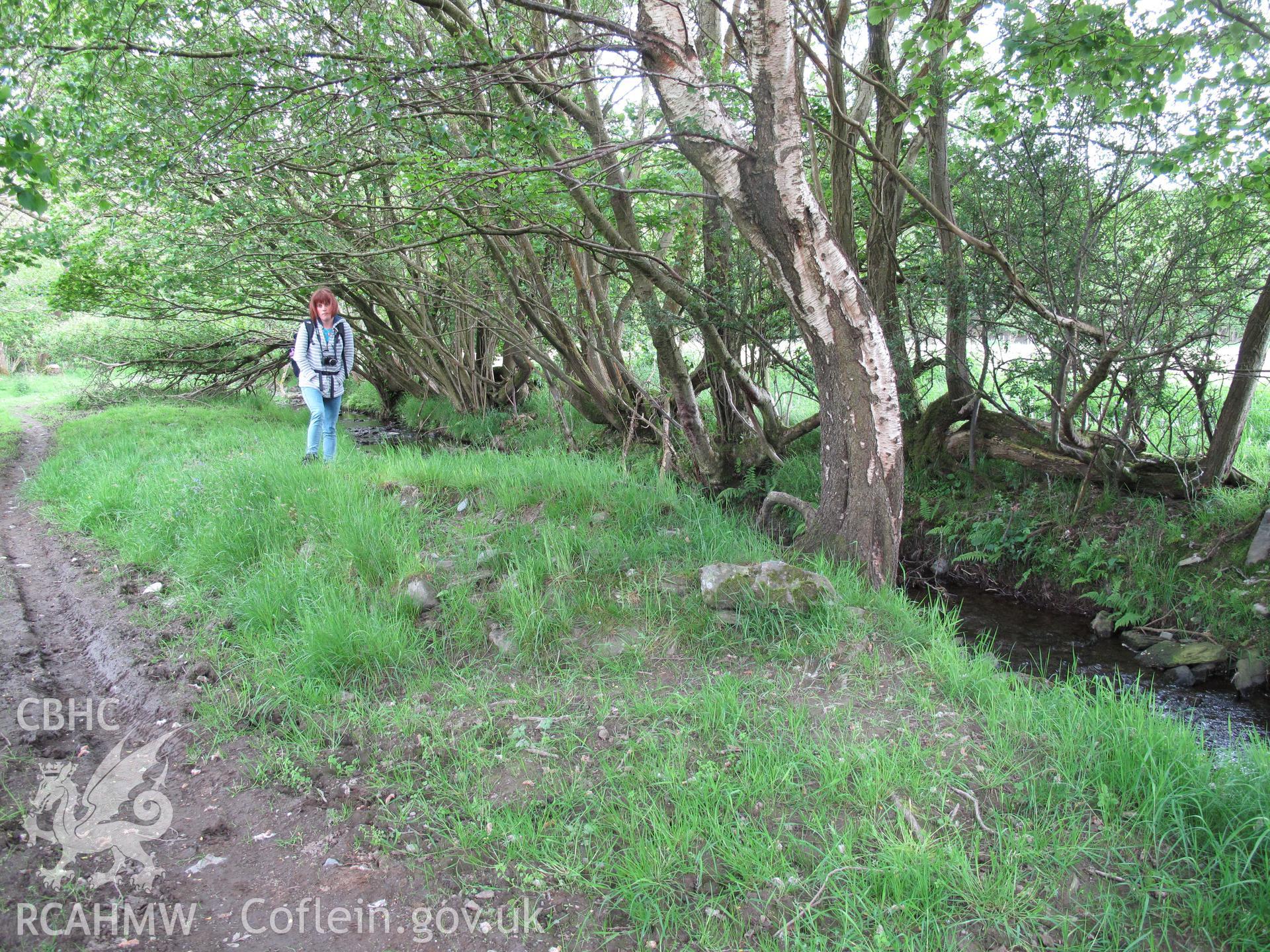 View from the north of the waterwheel leat, Great Abbey Farm, Strata Florida, with Nikki  Vousden, RCAHMW..