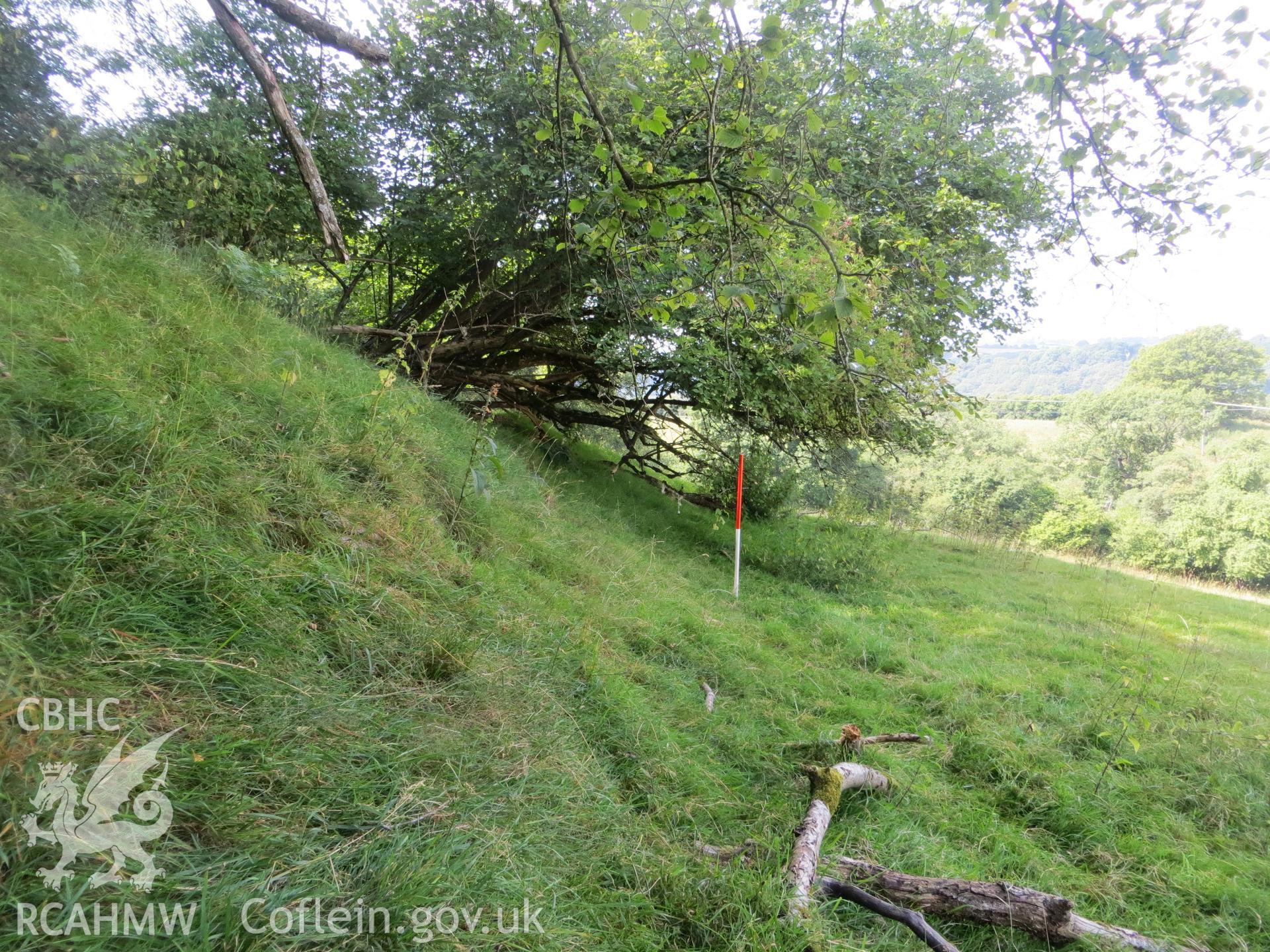 Overgrown bank behind stop-butt; 1m scale.