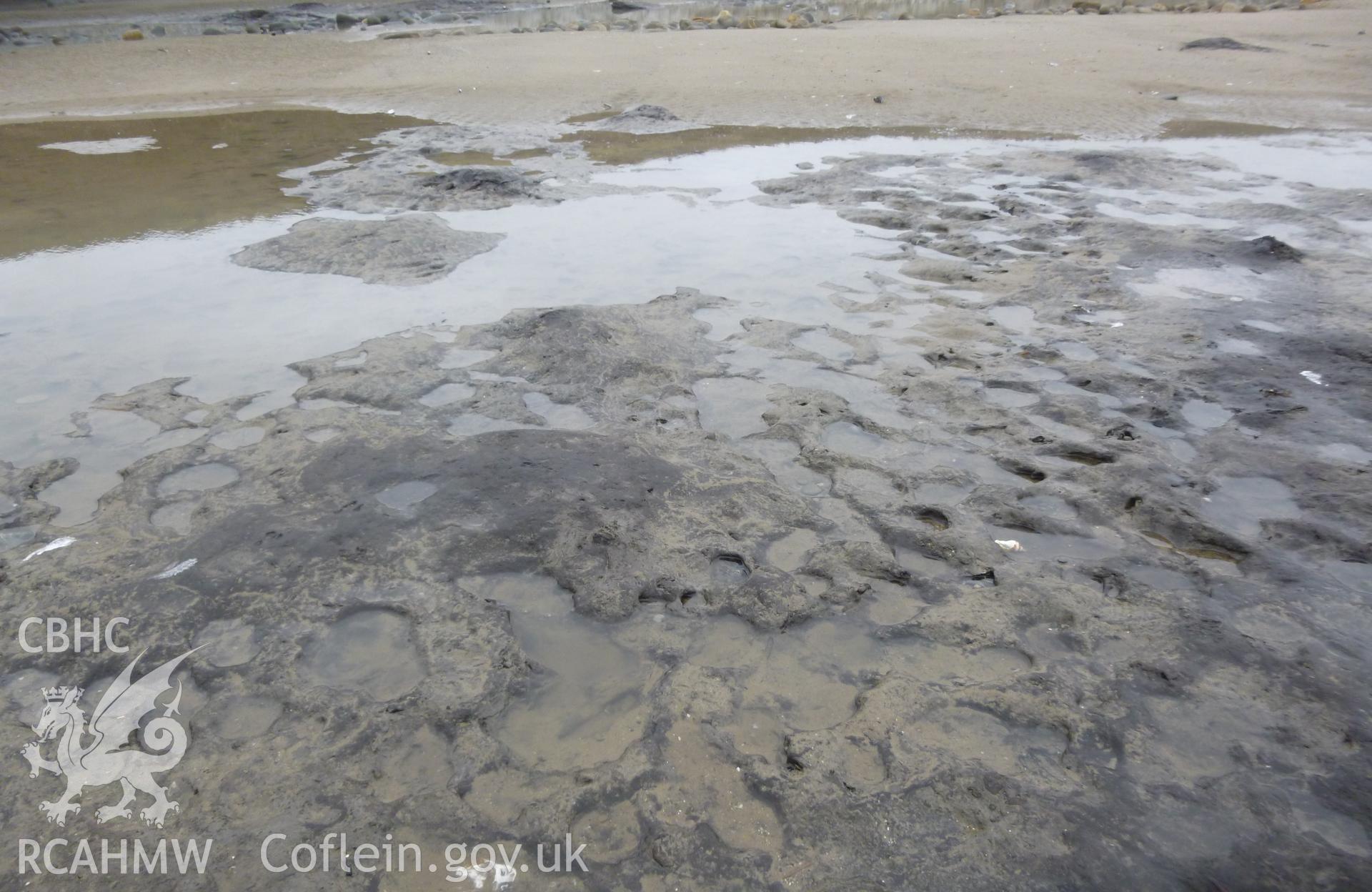 Pavement of cattle and shod hoof prints (?)