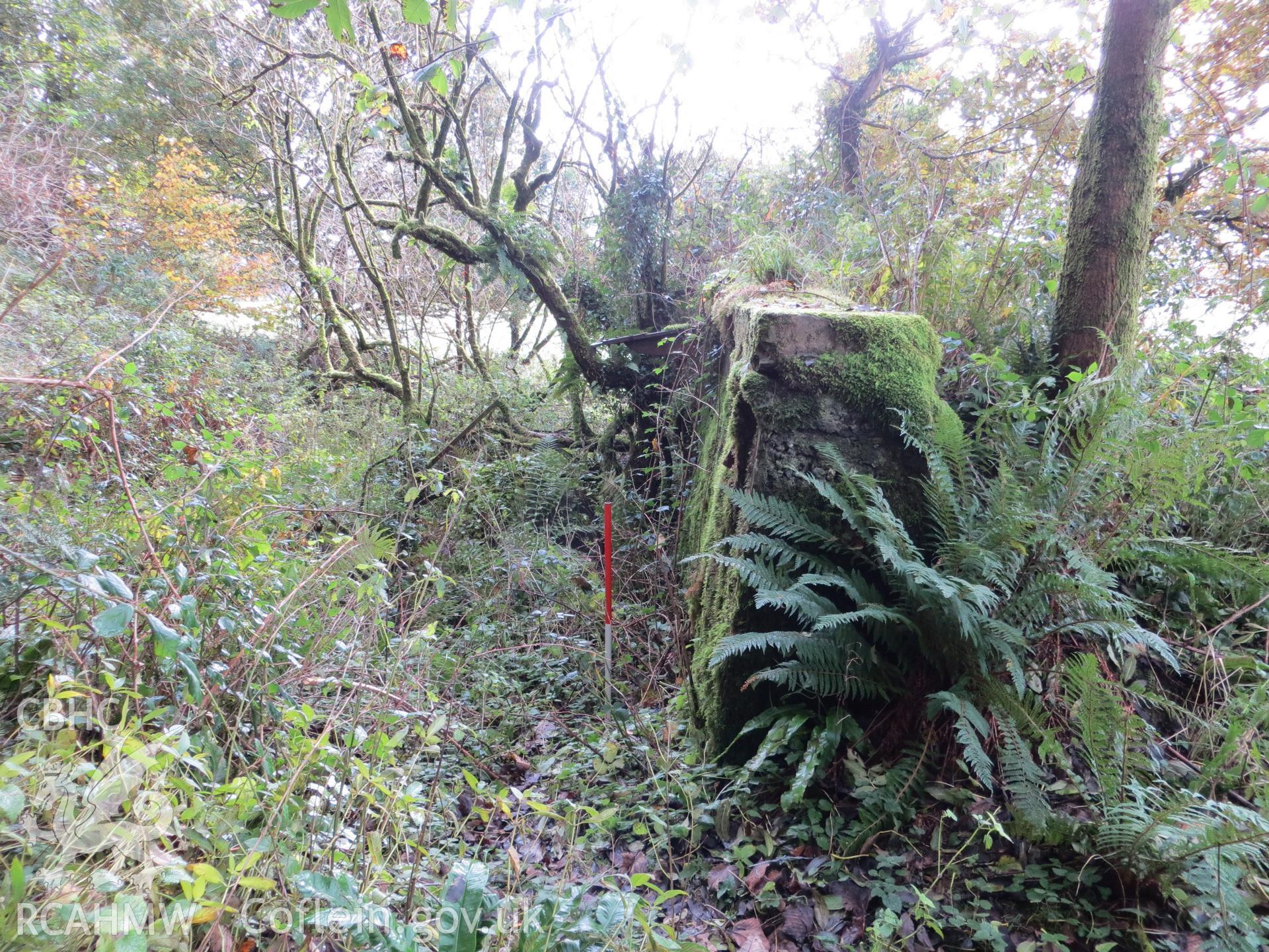 Projecting rear wall of bunker looking south; 1m scale.