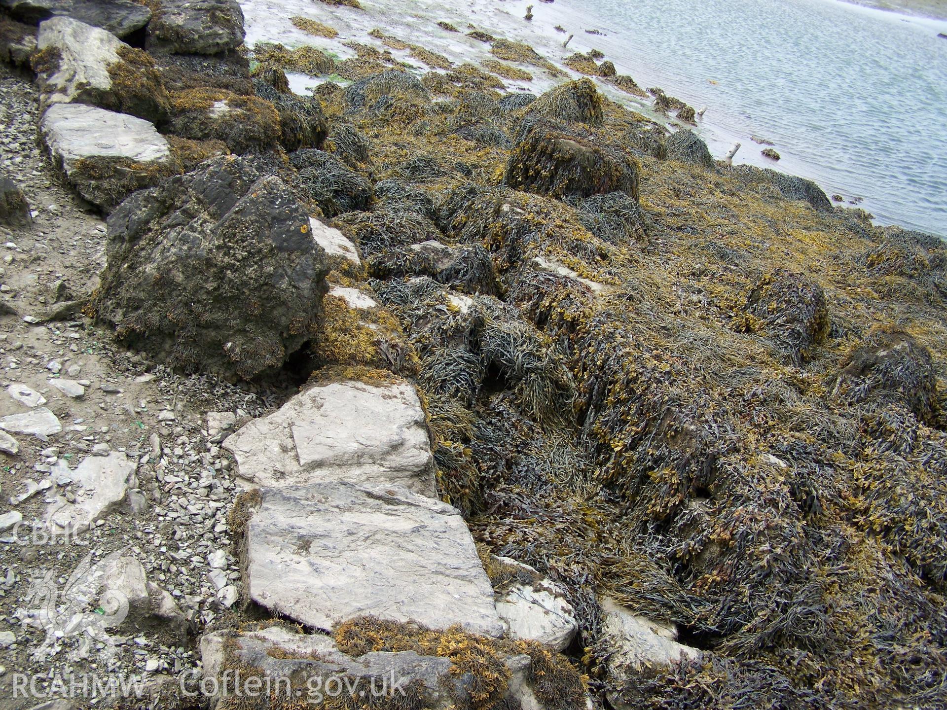 Main mill race/channel at southern end of dam (looking south), now blocked with stones