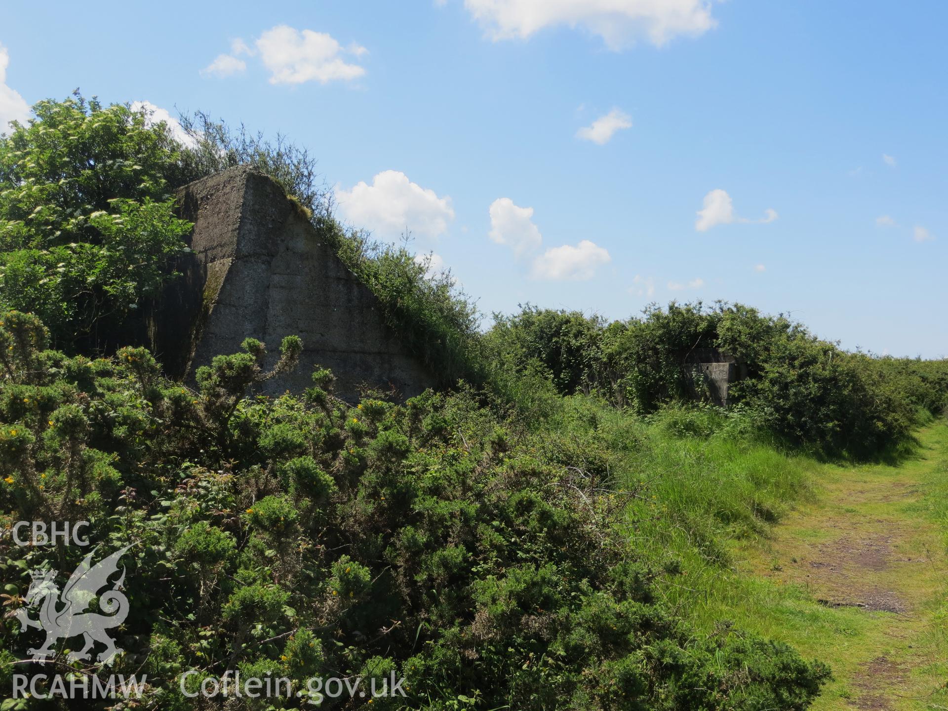 North end of target gallery under dense overgrowth.