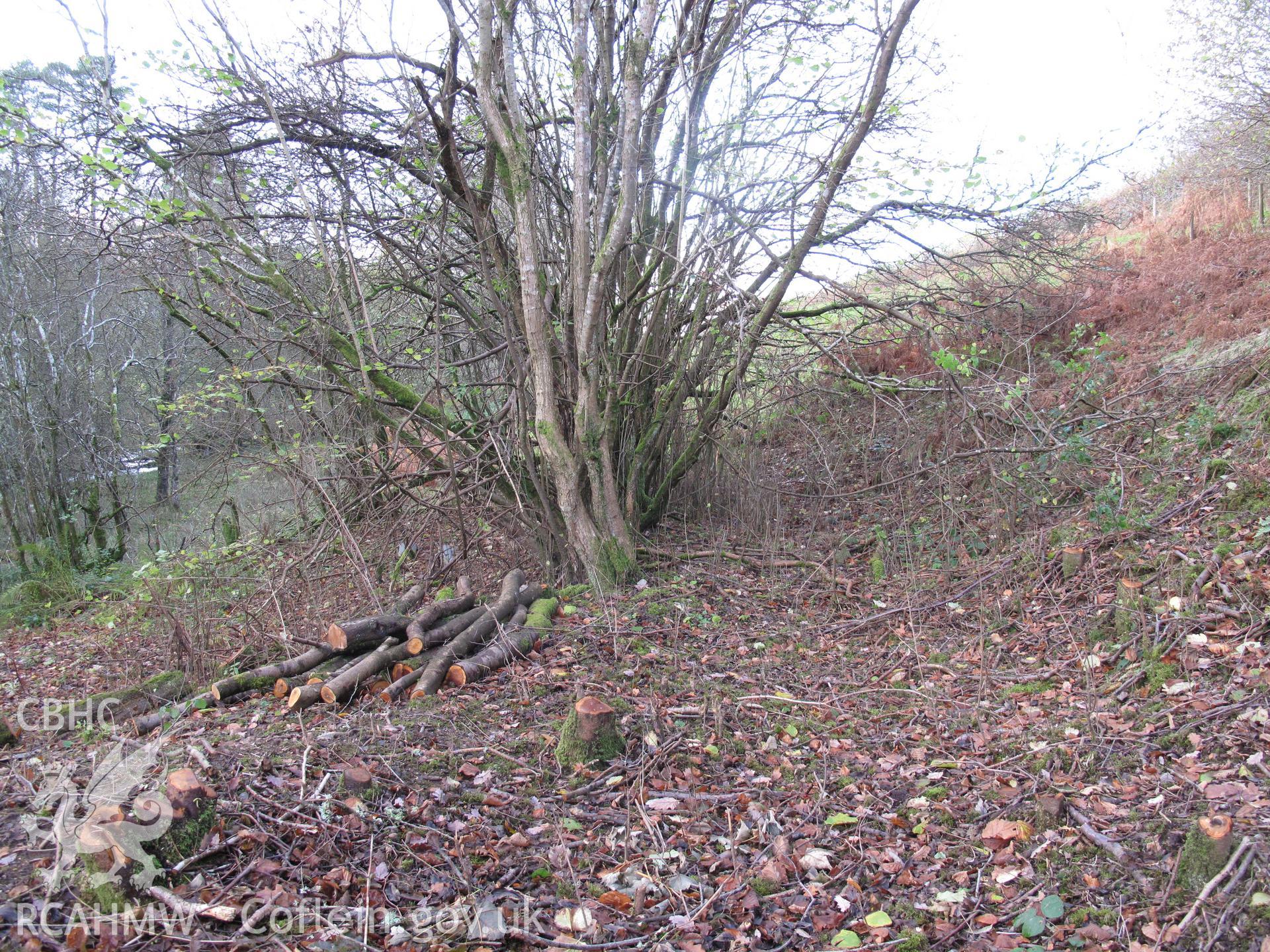 View of leat from the southeast at Fron Factory, Rhayader.