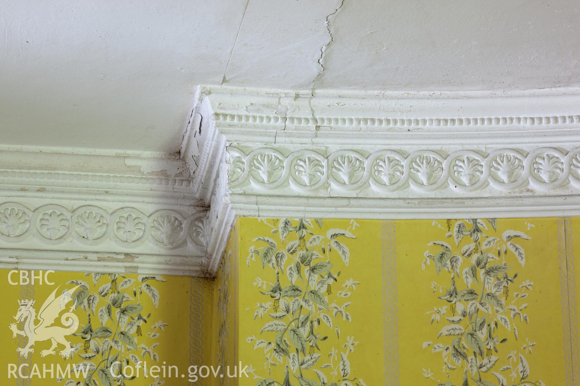Detail of ceiling cornice
