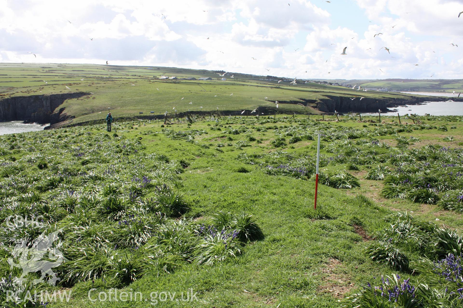 View looking south along the curving section of  bank that defines the west side of the settlement enclosure with attached annexe on the right hand side.