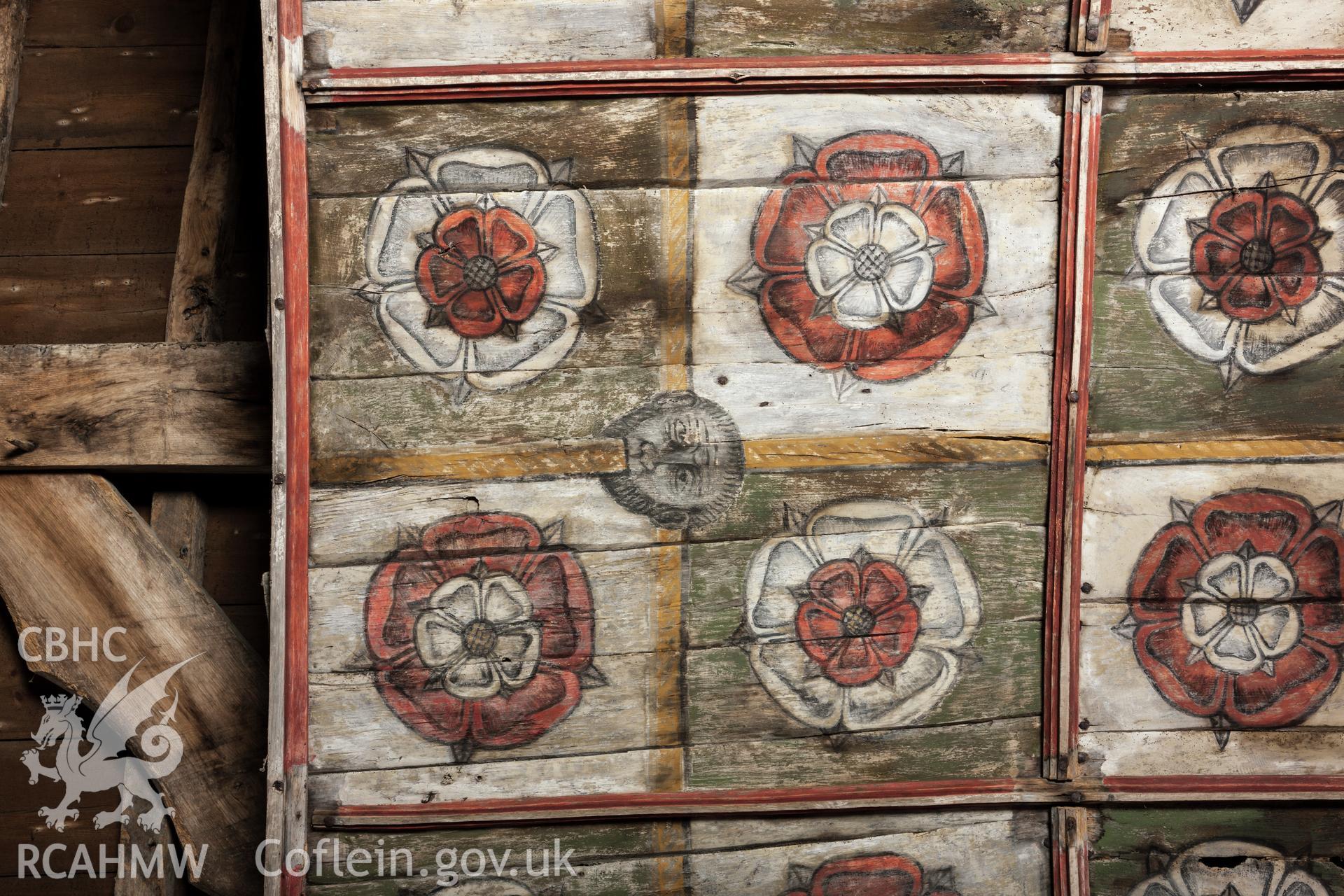 Detail of barrel vault painting