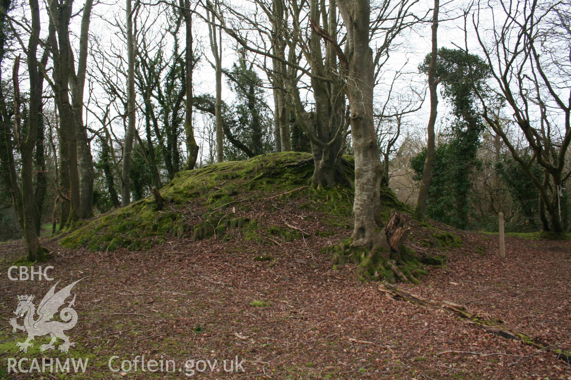 Nevern Castle, March 2007. Exposed walling of the north side of the inner castle tower.