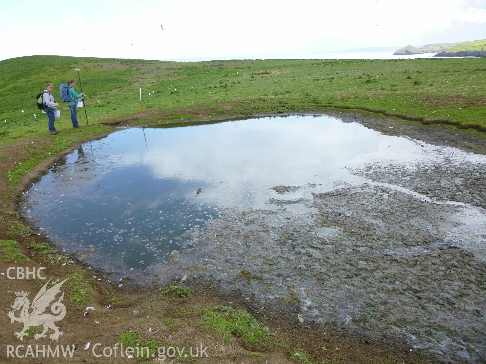 Pond I on Cardigan Island, looking north