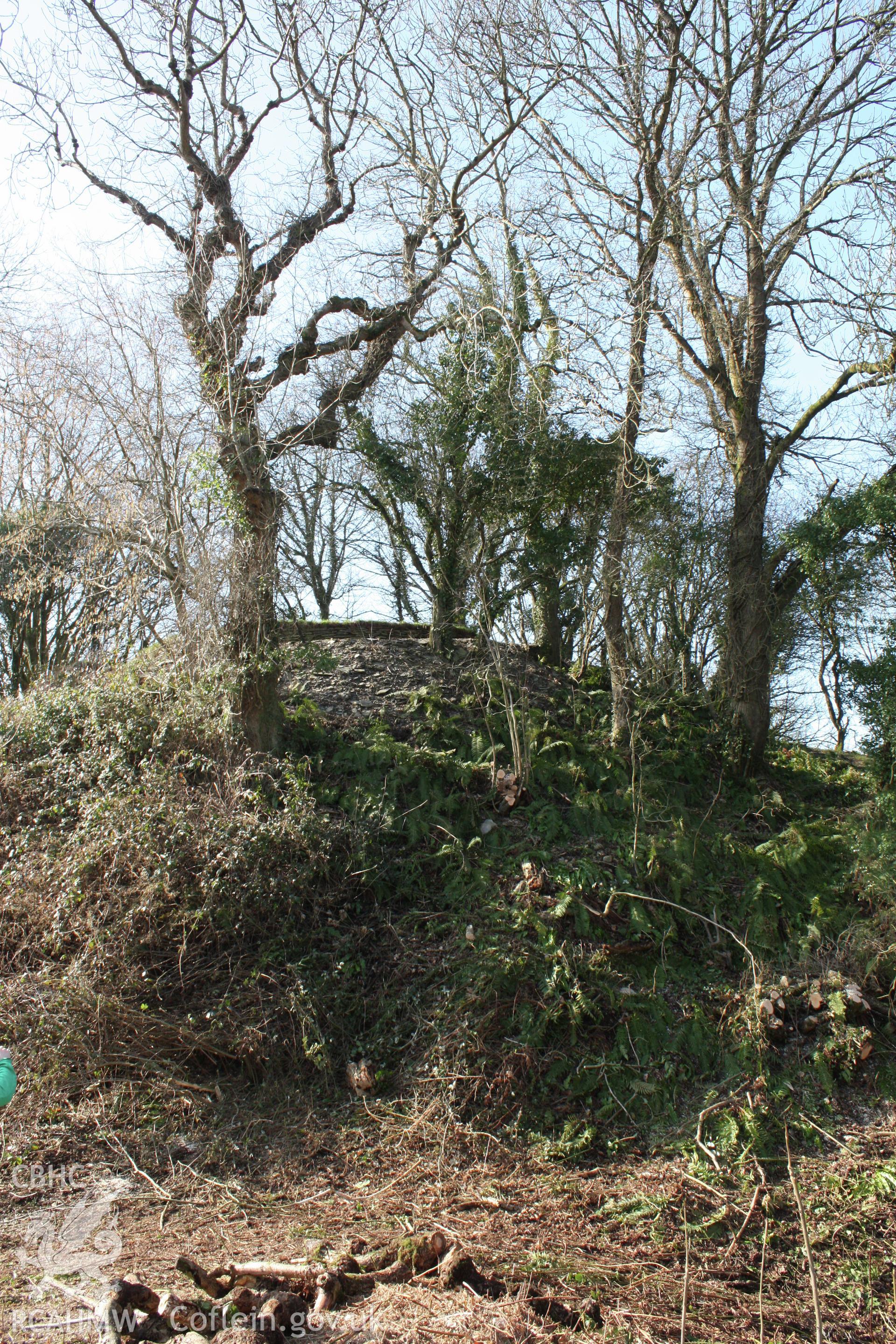 Nevern Castle, May 2010. View of motte from the north-east.
