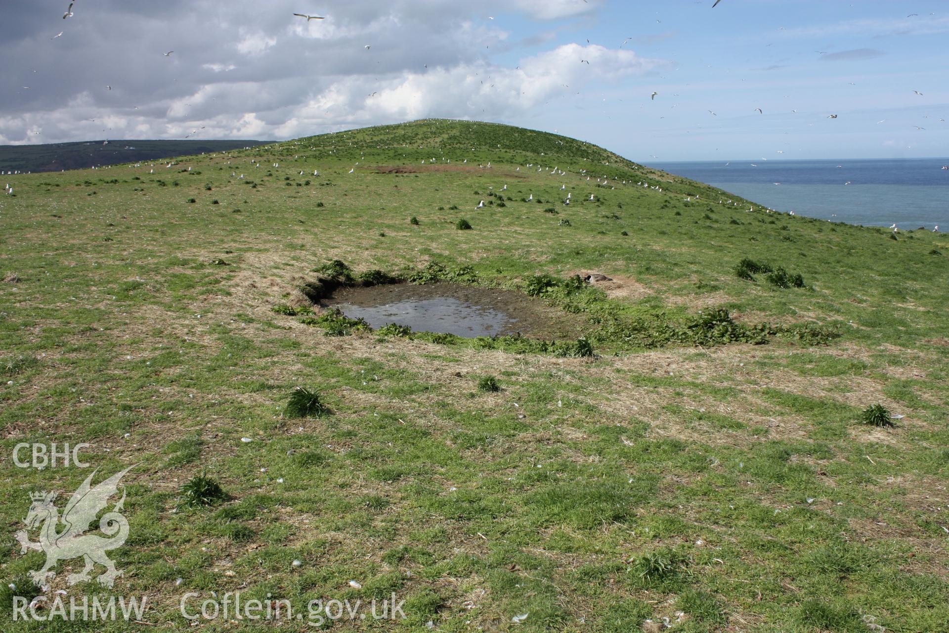 Pond II, Cardigan Island, looking north-west.
