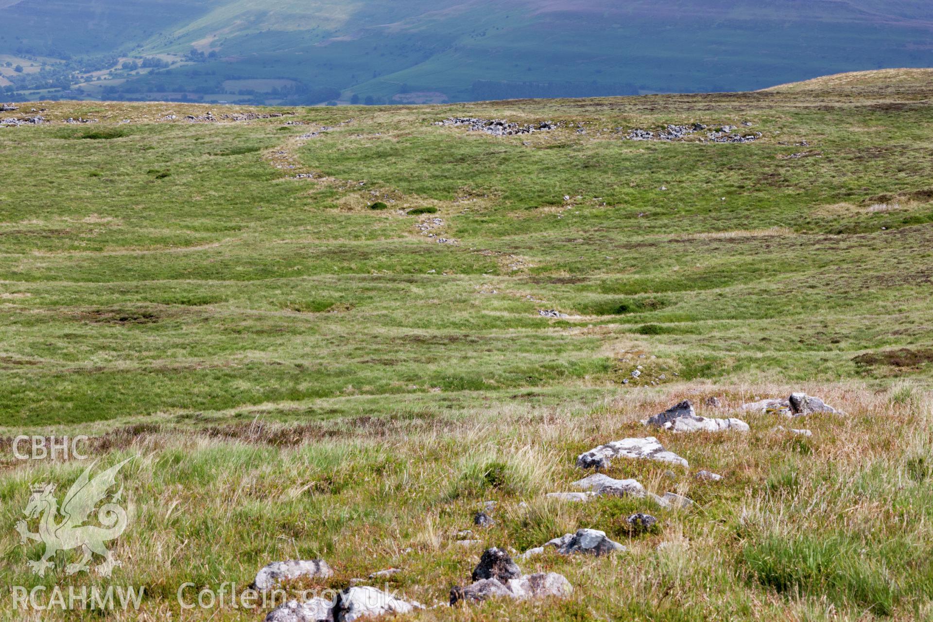 Earthwork bank at Clo Cadno, photographed by Iain N. Wright, July 2015.