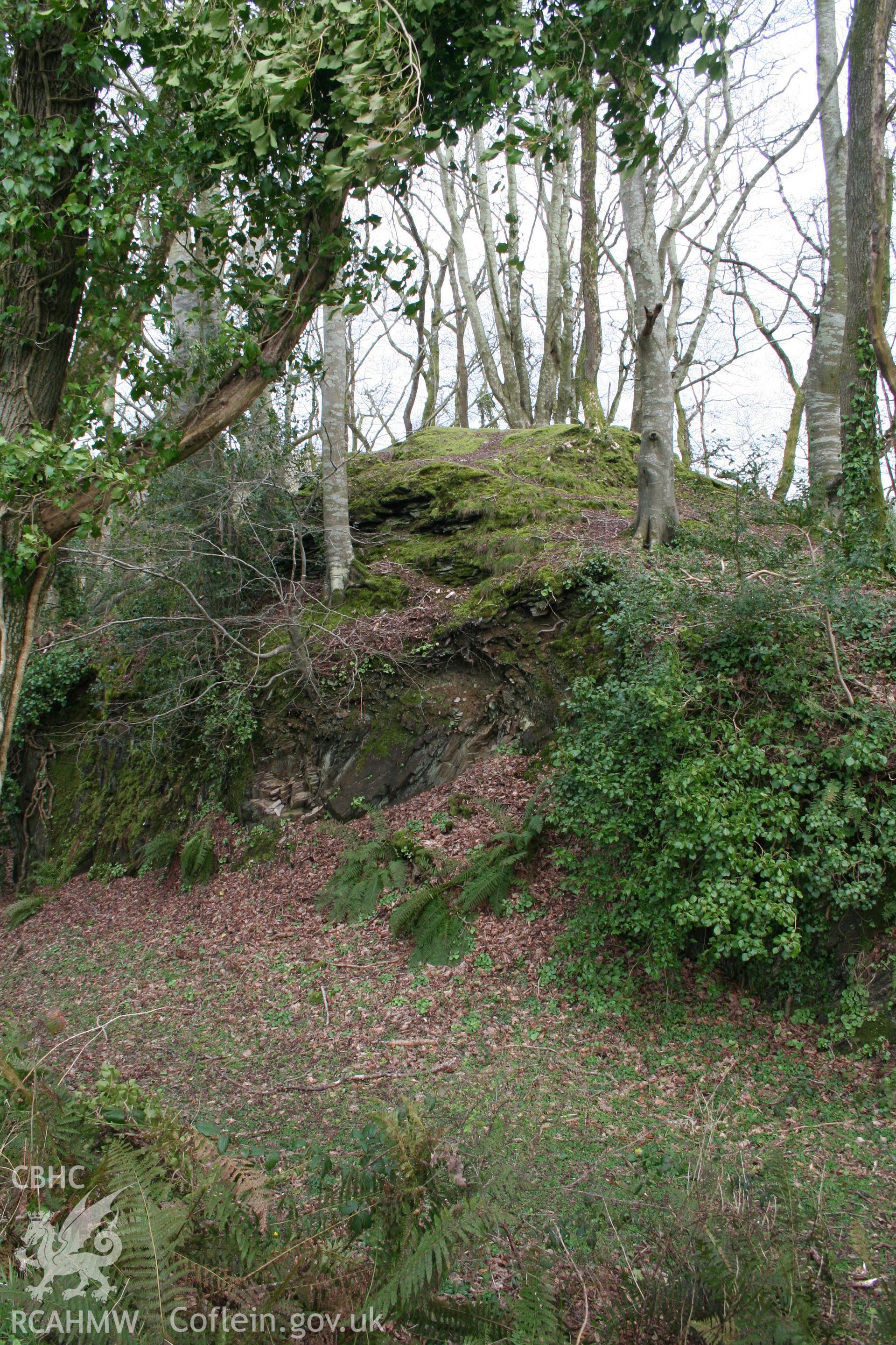 Nevern Castle, March 2007. View of rock cut ditch and inner castle tower from the south-west.