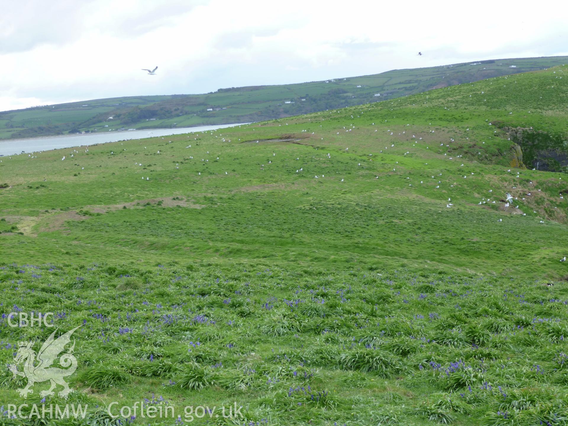 General view looking south-west across the promontory enclosure.