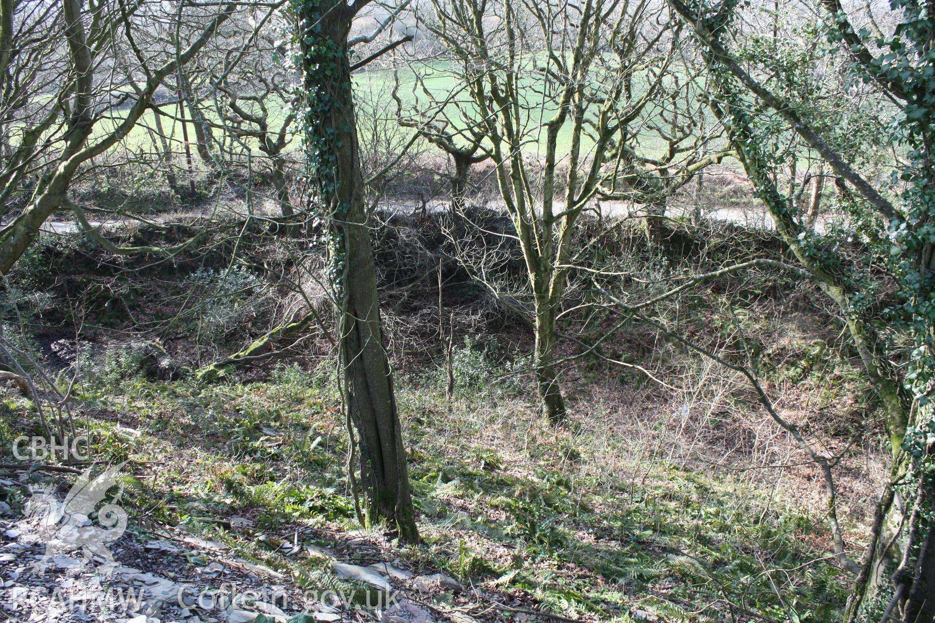 Nevern Castle, May 2010. View of the north-east corner of the outer castle ditch.