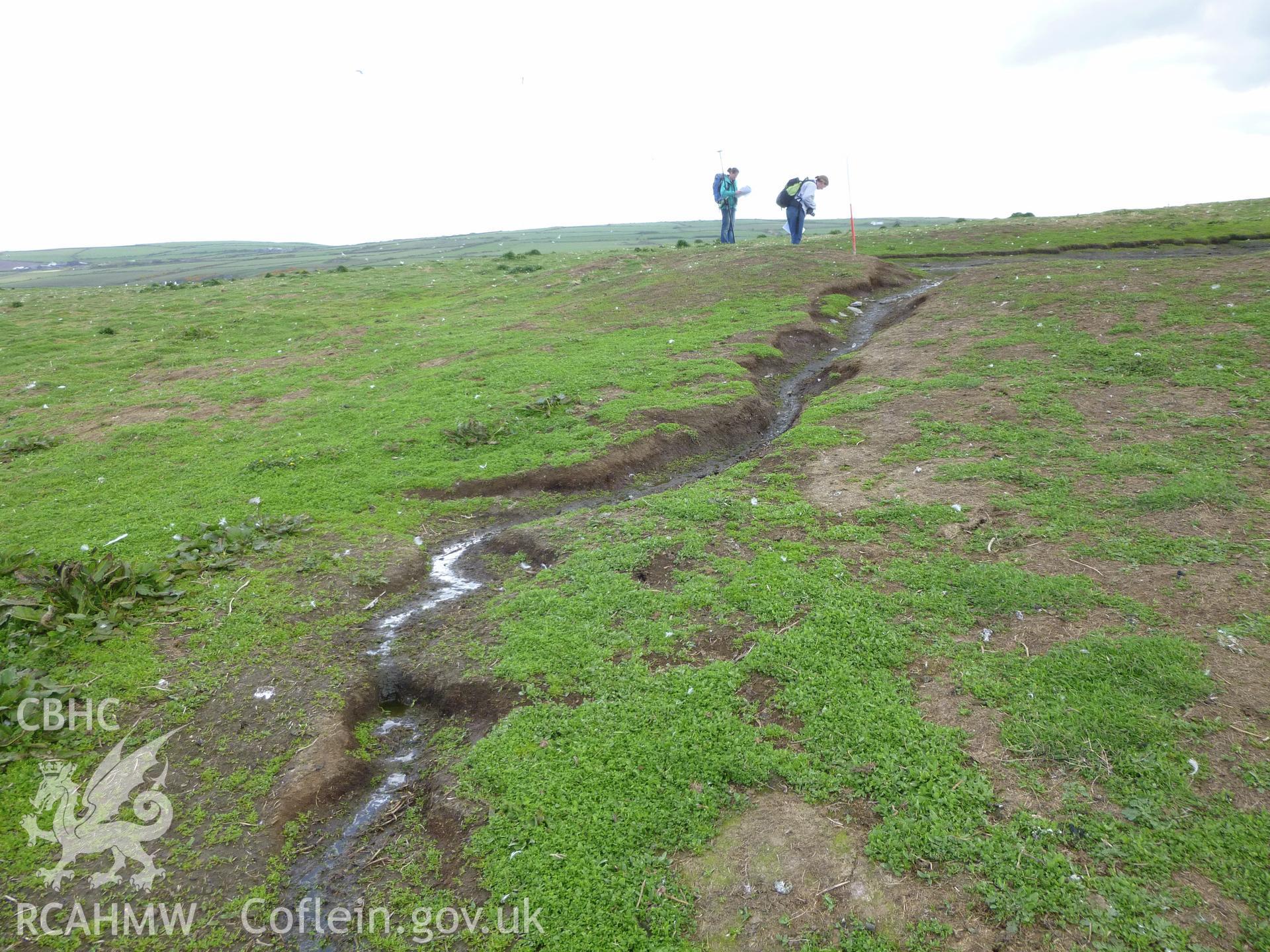Pond I on Cardigan Island. Outlet stream looking south-east.