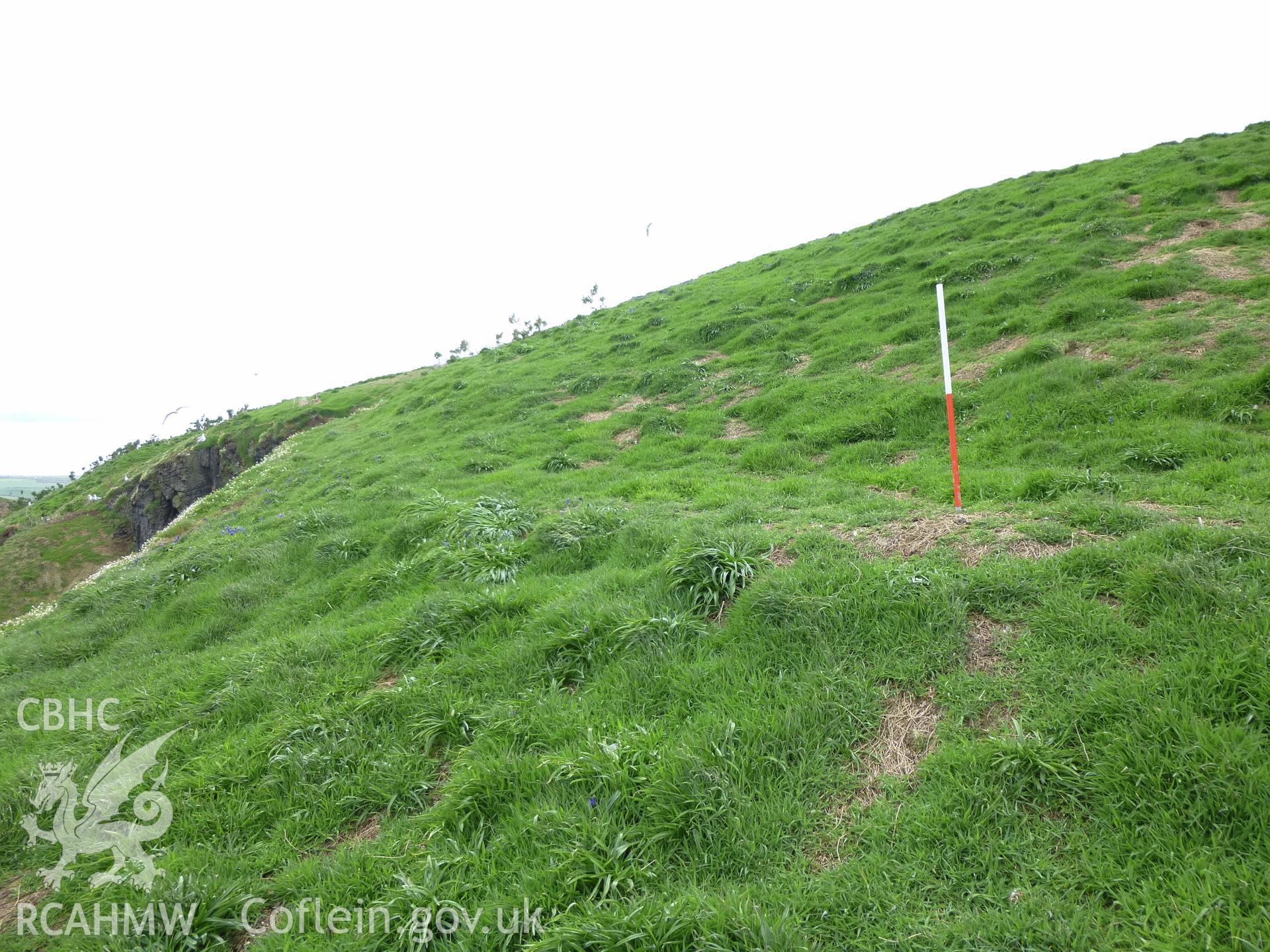 Earthwork terraces above East Landing Point, Cardigan Island.
