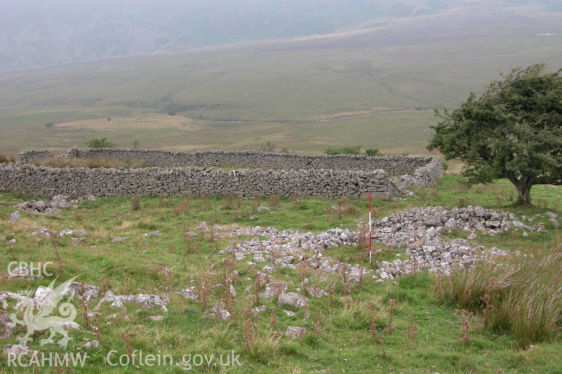 Digital photograph of Moel Eilio Hut Circle IV taken on 09/09/2003 by Cambrian Archaeological Projects during the Eastern Snowdonia Upland Survey