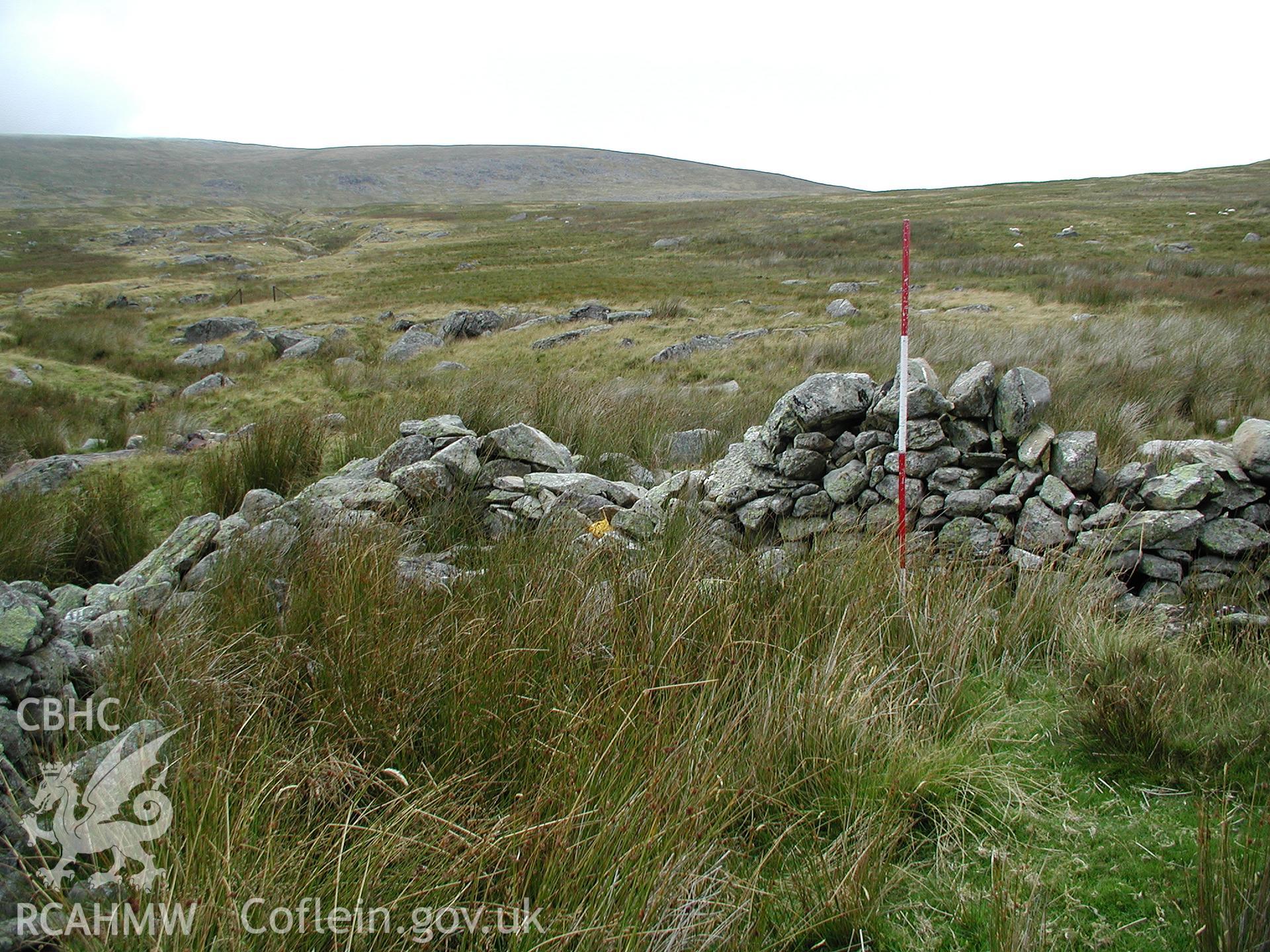 Digital photograph of Ffwrdd Cerriguniau Sheepfold taken on 09/09/2003 by Cambrian Archaeological Projects during the Eastern Snowdonia Upland Survey