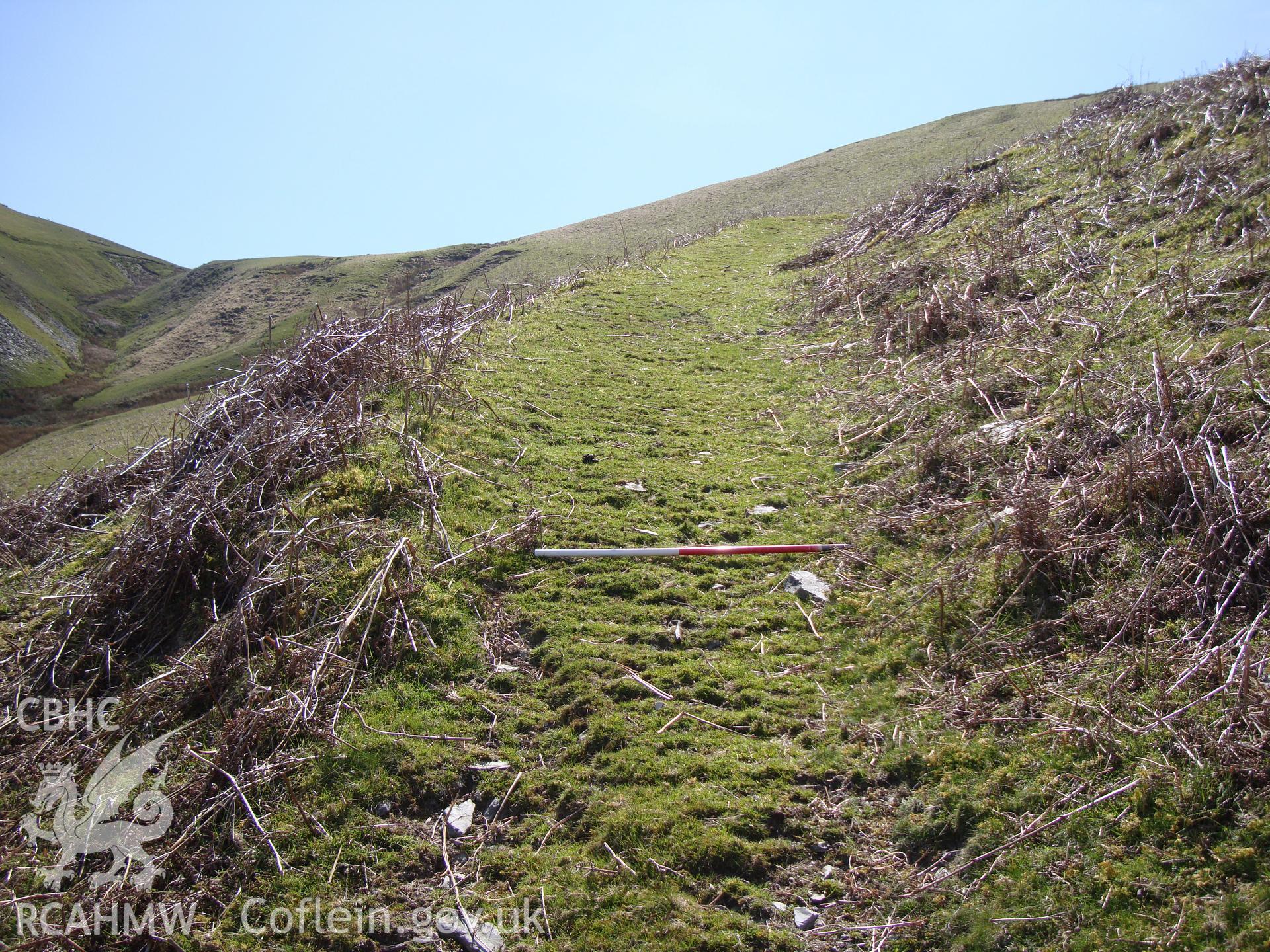 Trackway, looking southwest.