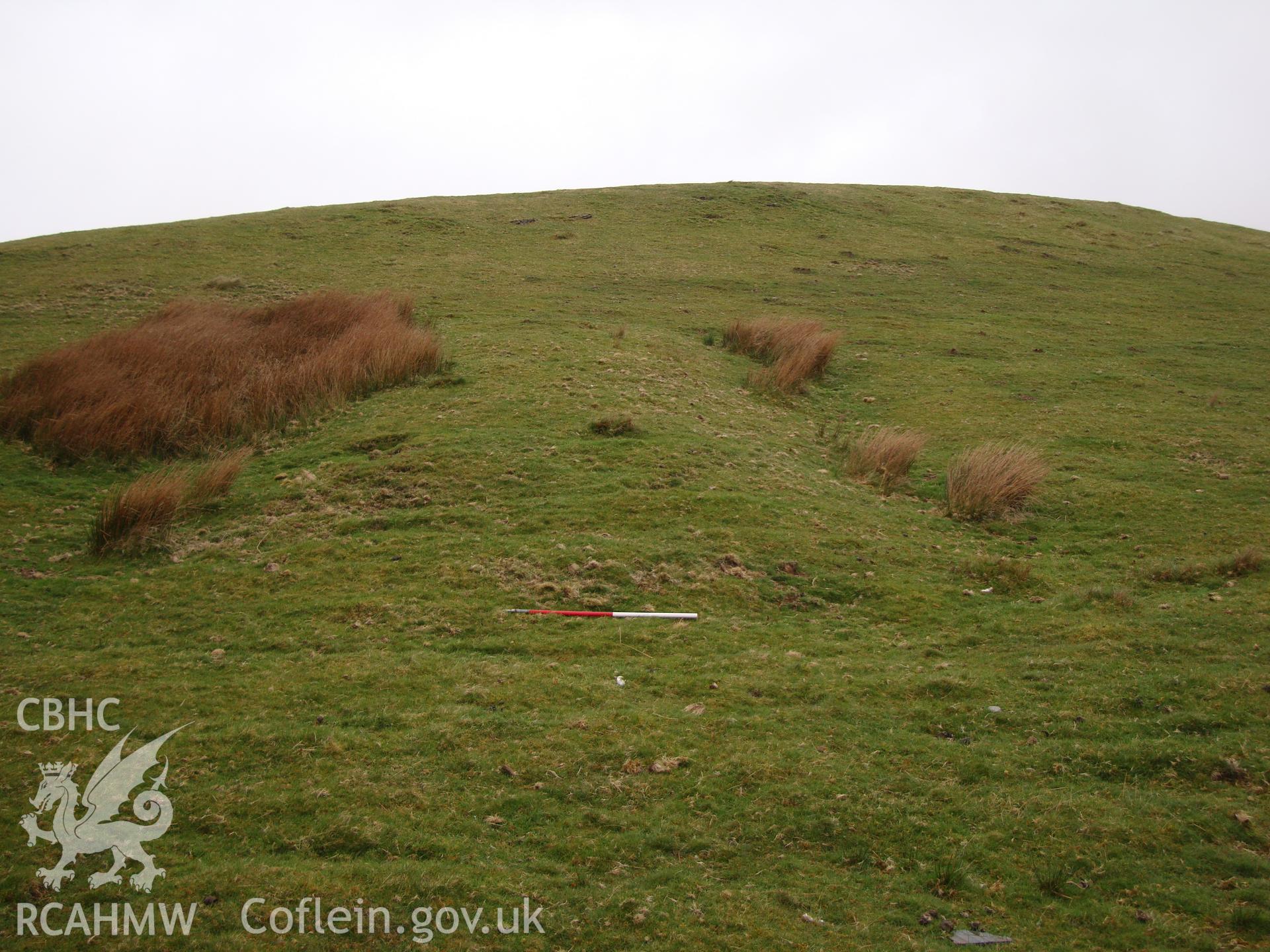 Pillow mound, looking northwest.
