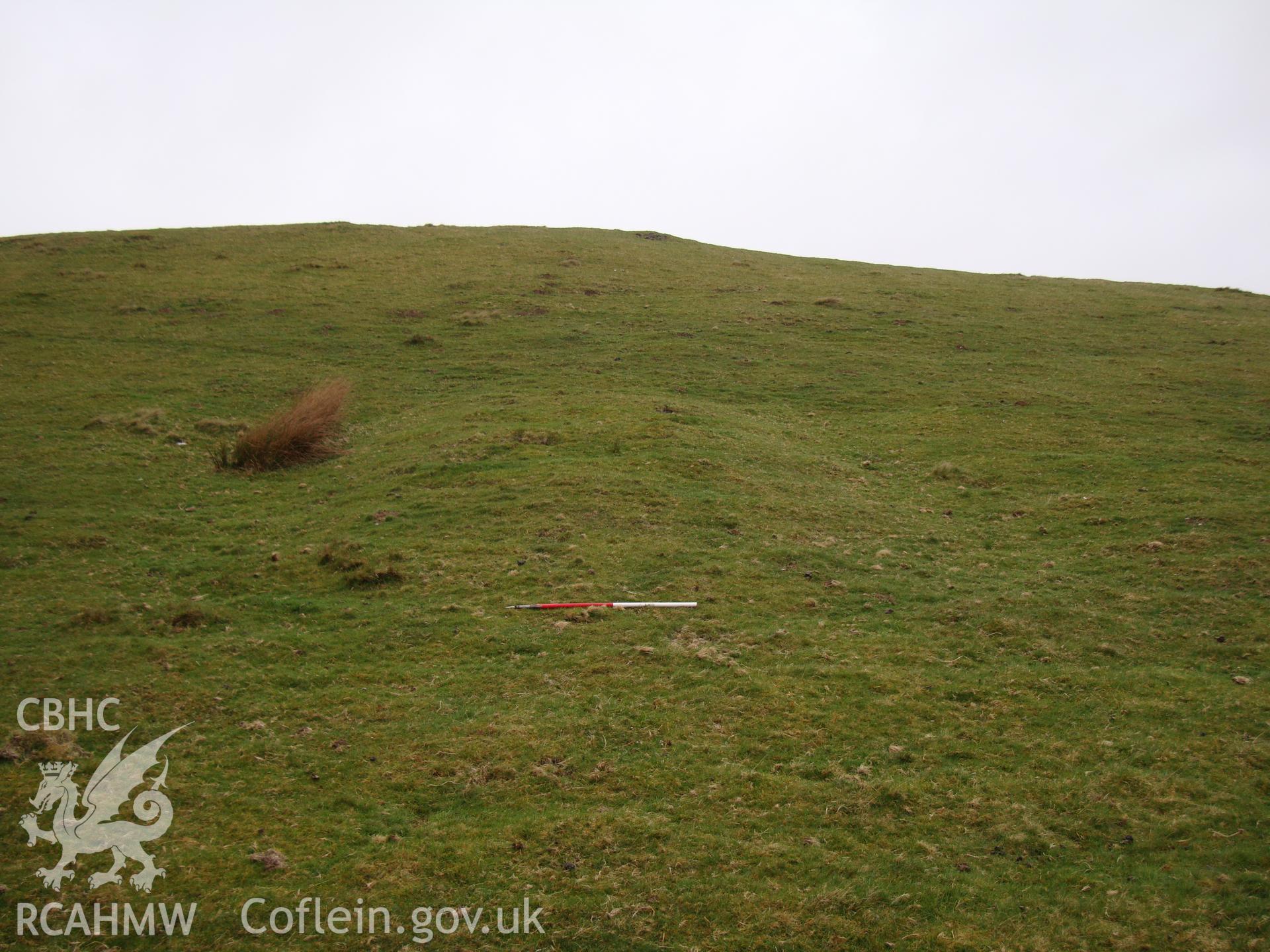 Pillow mound, looking northwest.