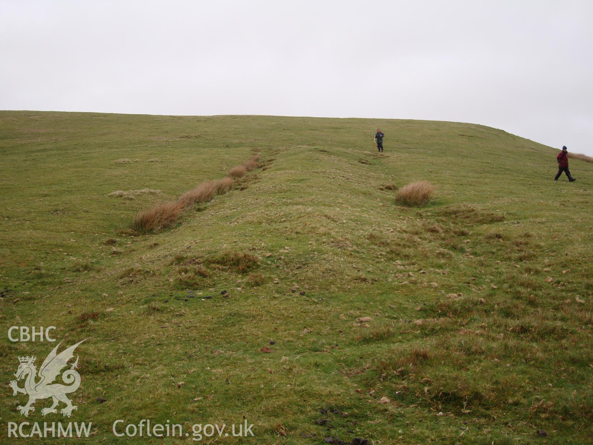 Pillow mound, looking north.