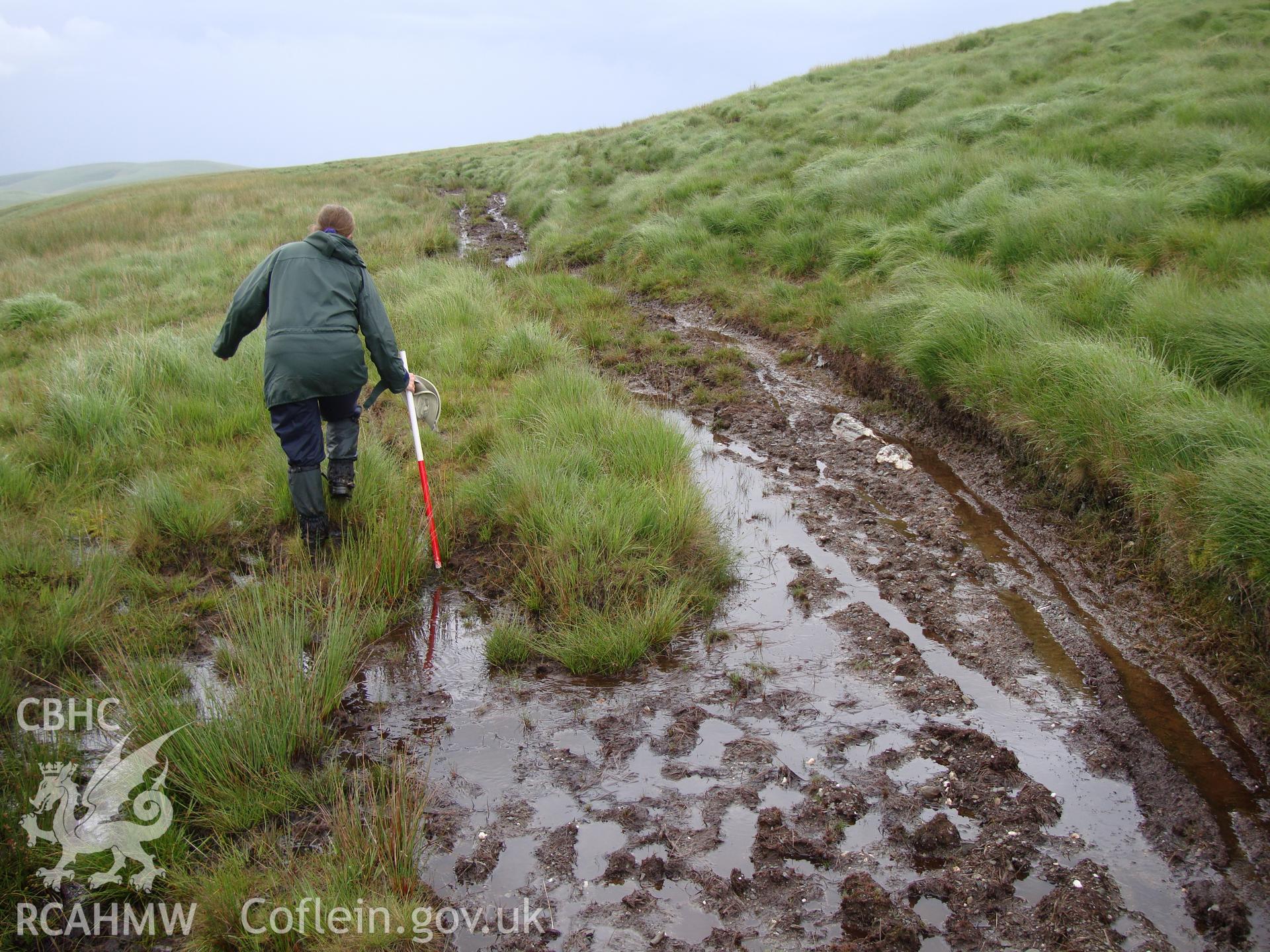 Trackway at SN8517569324, looking northeast.