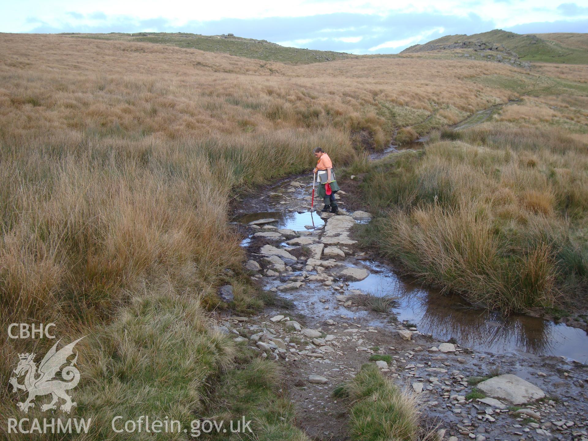 Trackway at SN8336768824, ford across small stream, looking northeast.