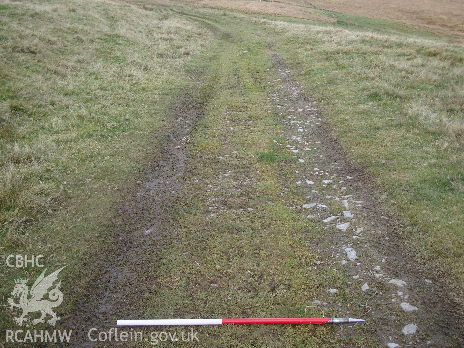 Trackway at SN8315068577, in use as access track to NPRN 503506, looking northeast.