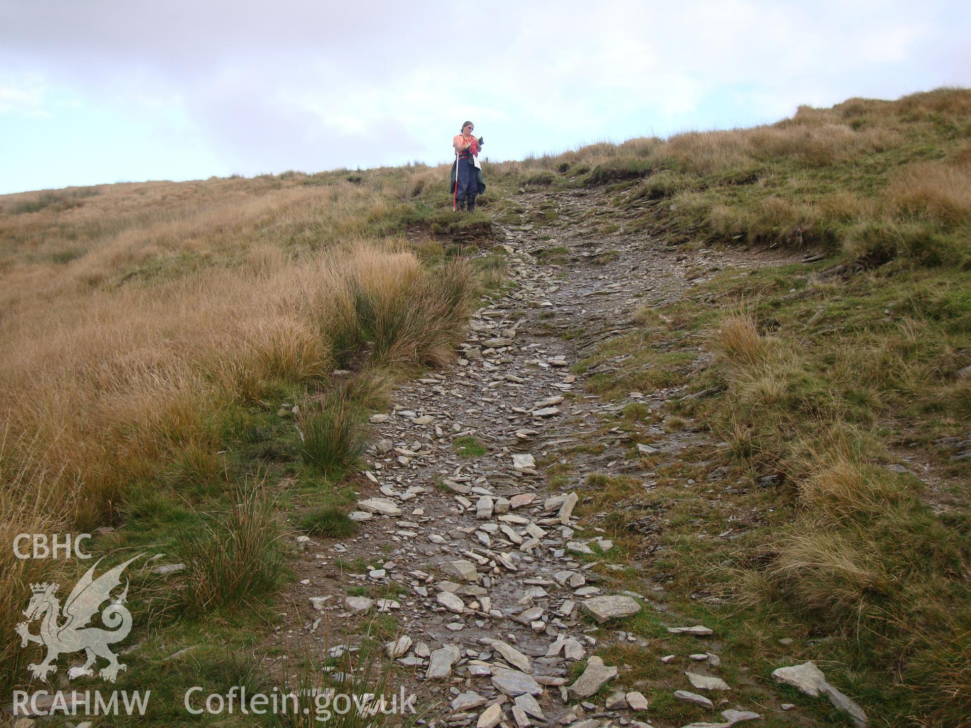 Trackway at SN8281368489, showing erosion and natural debris looking east.