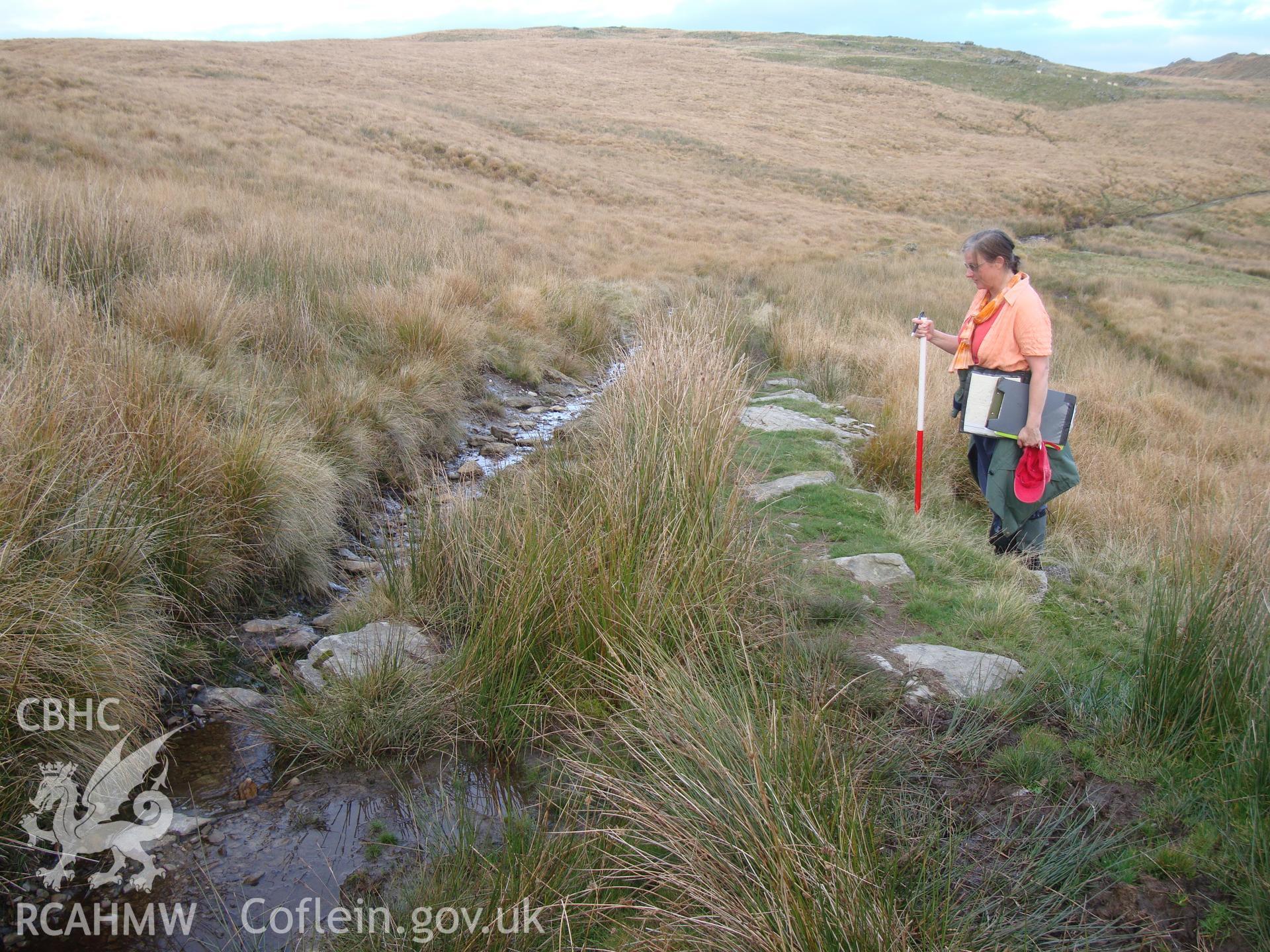 Trackway at SN8327468775, stone revetment on southern side of track, looking northeast.