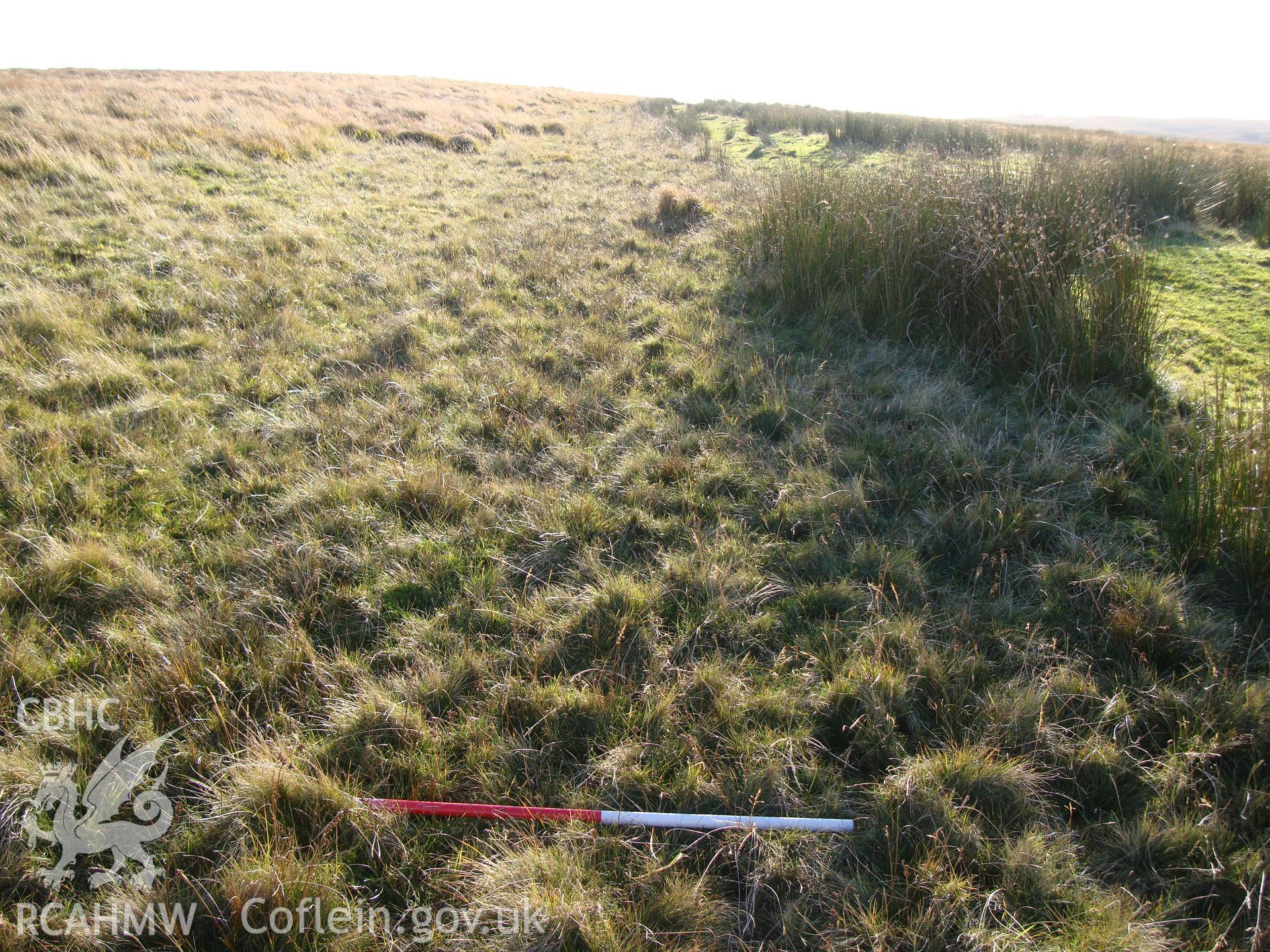 Trackway at SN8715070908, looking southwest.