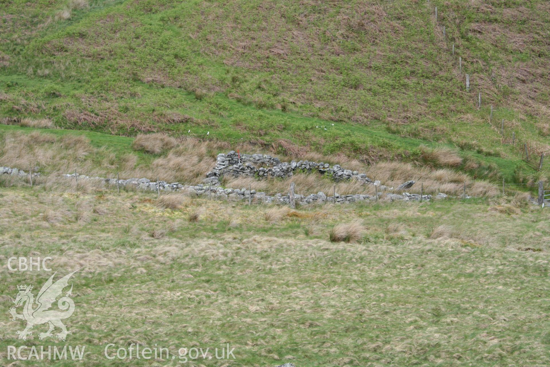 Sheep Fold, looking north-west