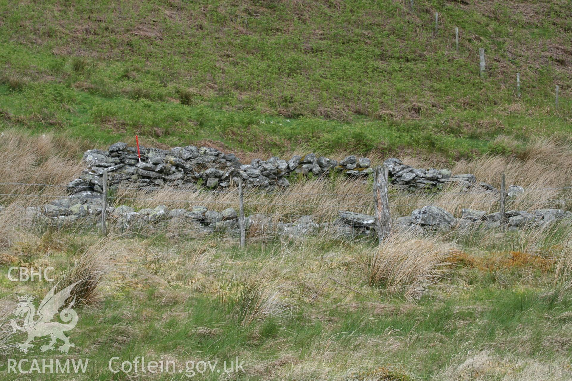 Sheep Fold, looking north-west