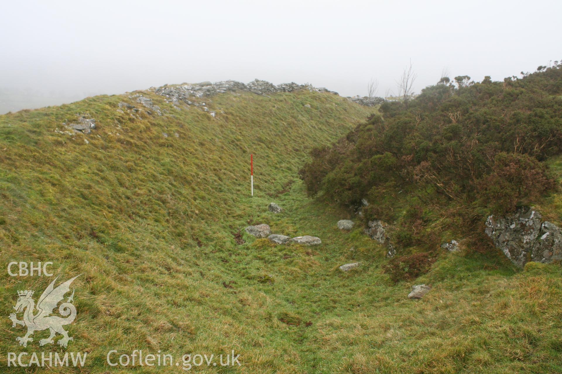 Hillfort, south-west end looking north