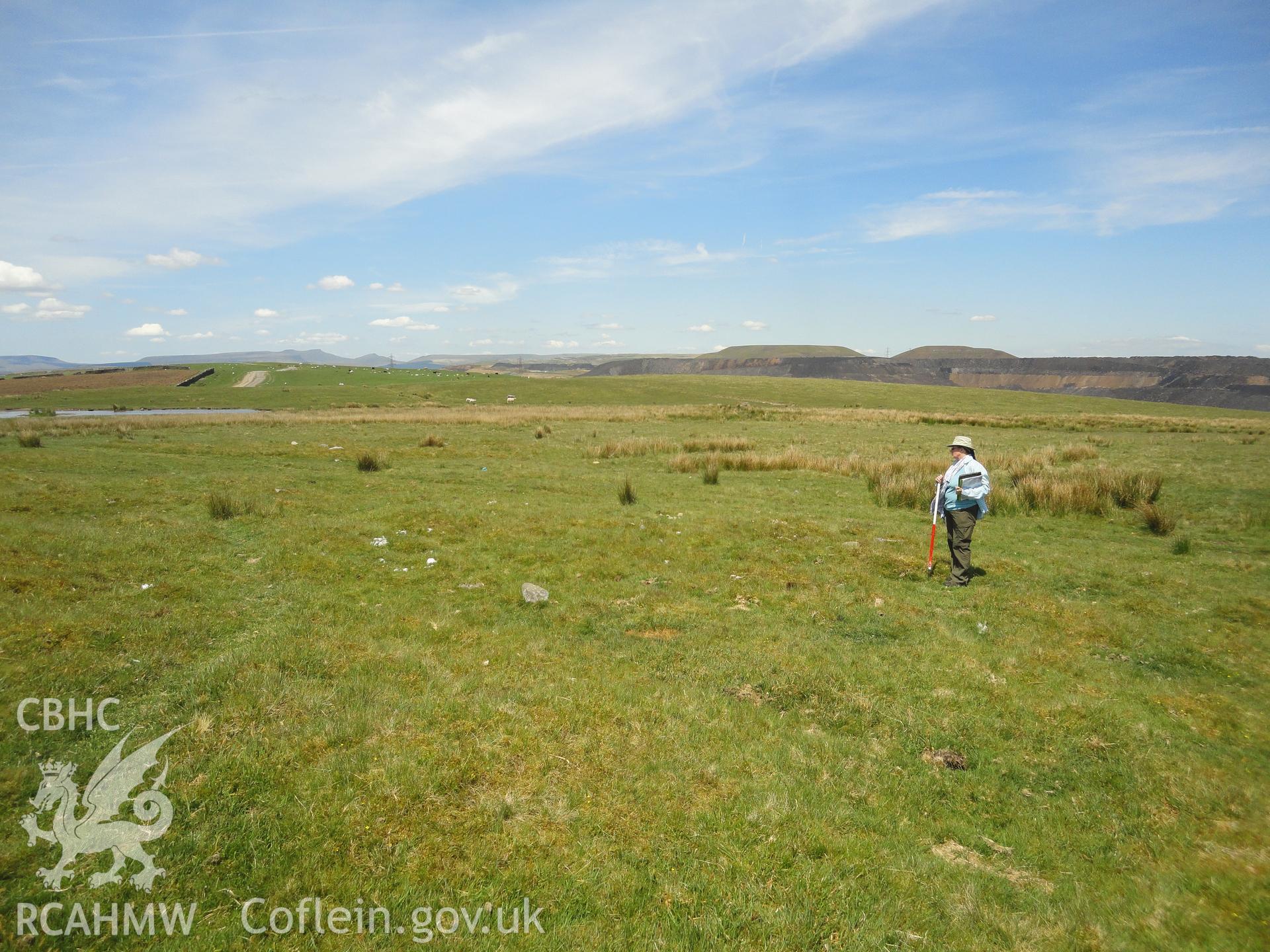 Low, grass-covered stone spread, maybe a cairn, looking north.