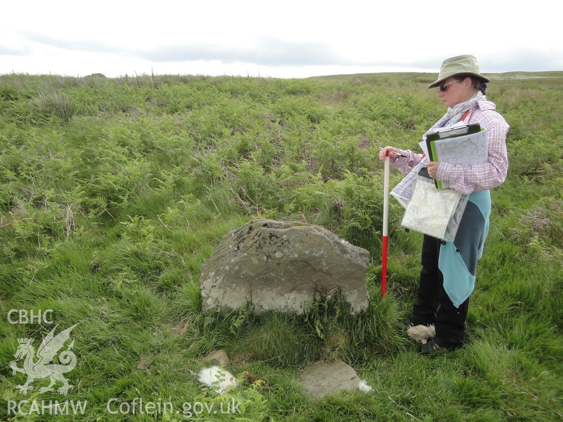Upright stone, looking south.