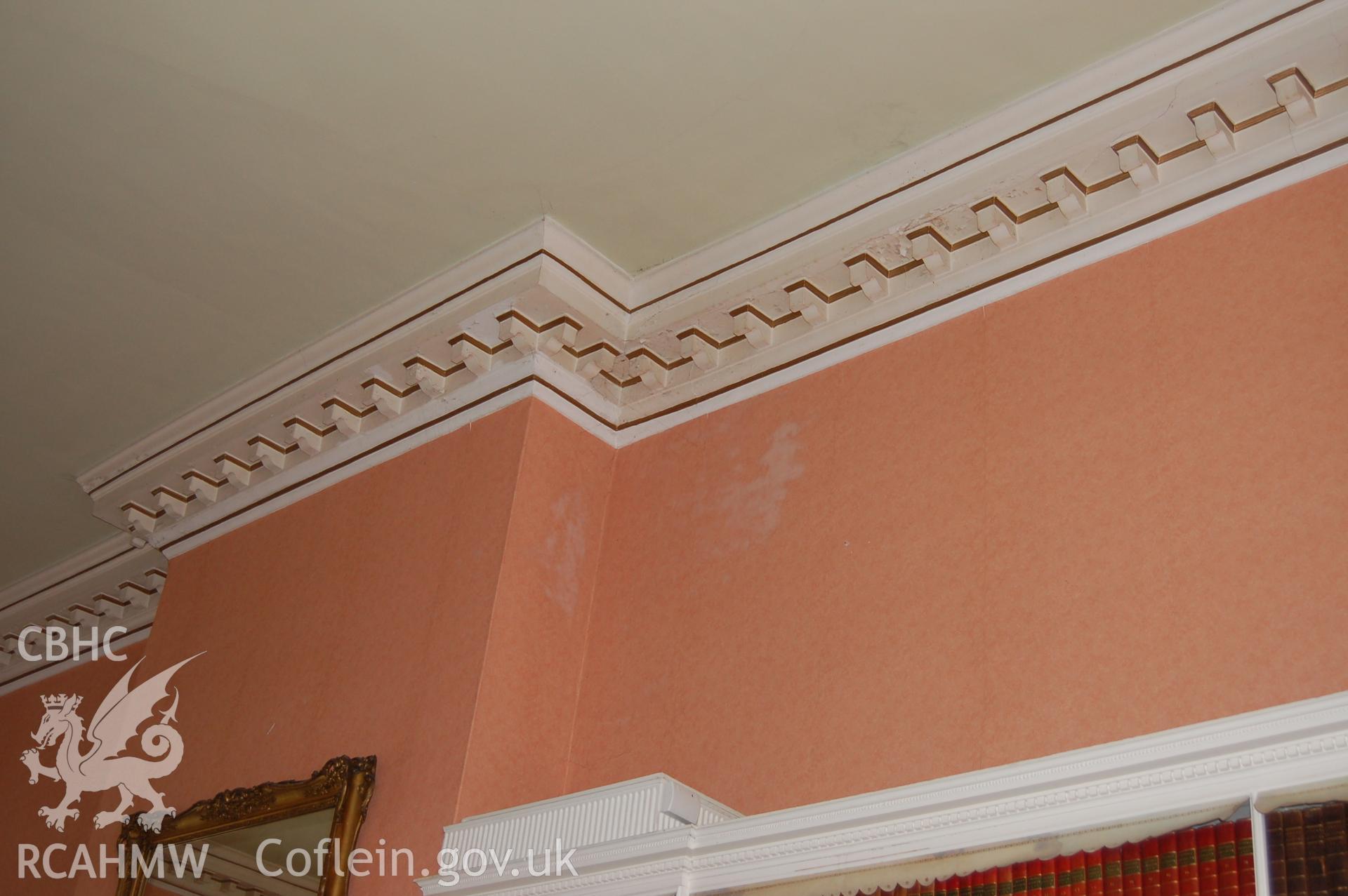 Digital colour photograph showing Iscoyd Park (interior, ceiling, plaster mouldings),  received in the course of Emergency Recording case ref no RCS2/1/2257.