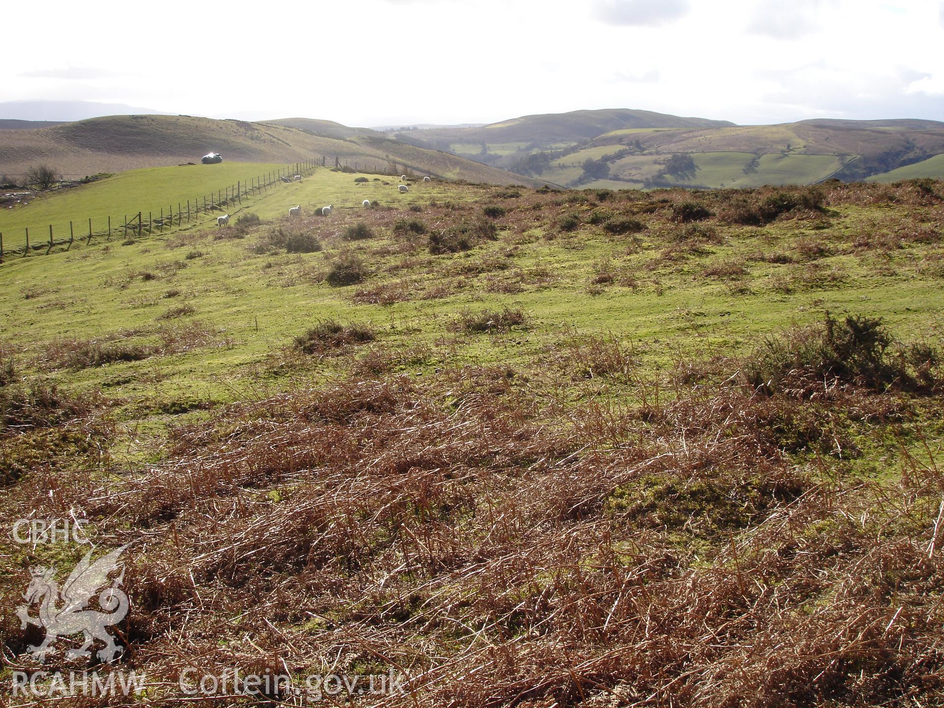 Digital colour photograph of Cwm Shenkin cultivation ridges I taken on 21/02/2007 by R.P.Sambrook during the Gwaunceste Upland Survey undertaken by Trysor.