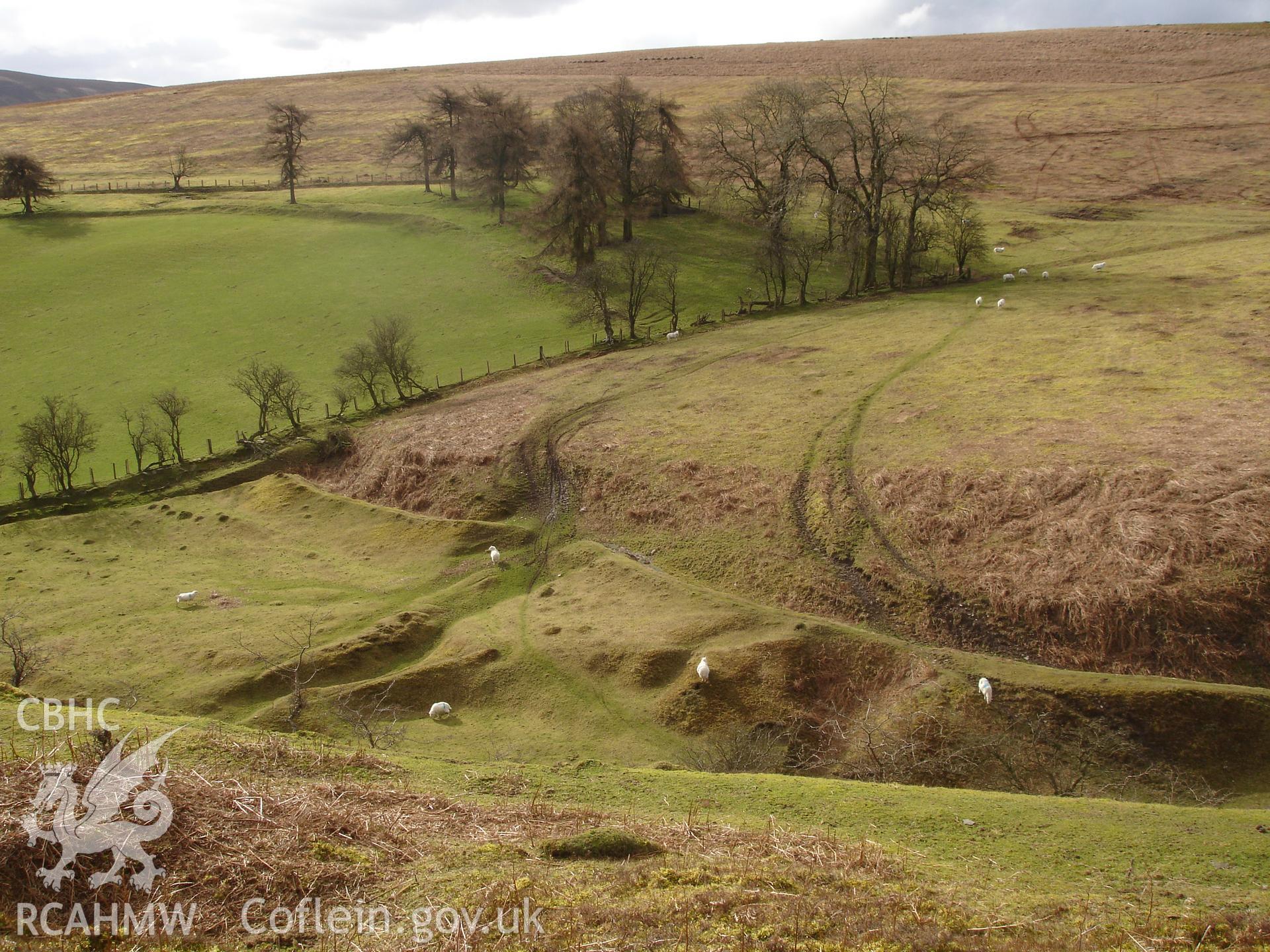 Digital colour photograph of a leat at Cwm Griffin taken on 21/02/2007 by R.P.Sambrook during the Gwaunceste Upland Survey undertaken by Trysor.