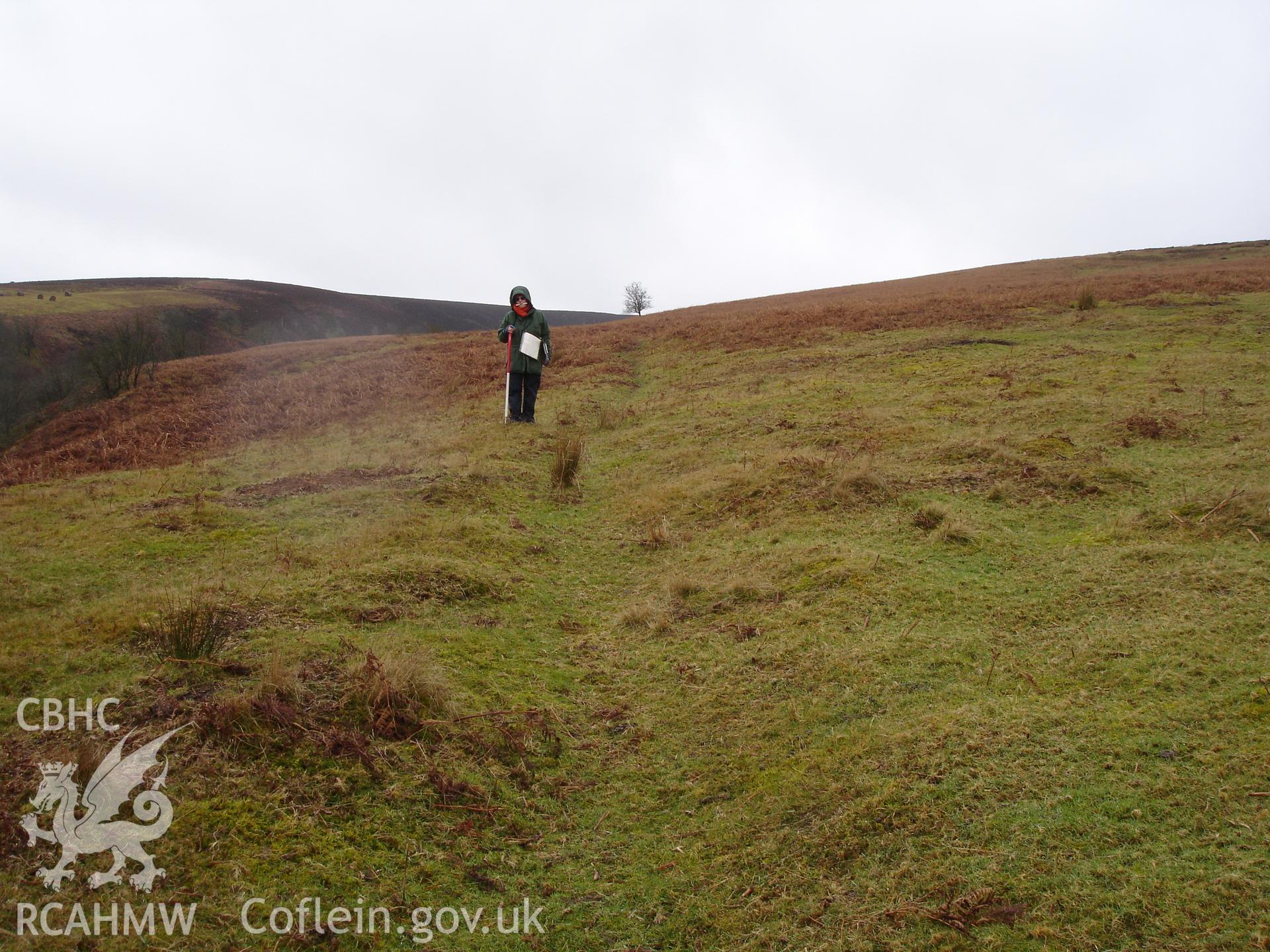 Digital colour photograph of Cwm Ceste bank III taken on 25/02/2007 by R.P.Sambrook during the Gwaunceste Upland Survey undertaken by Trysor.