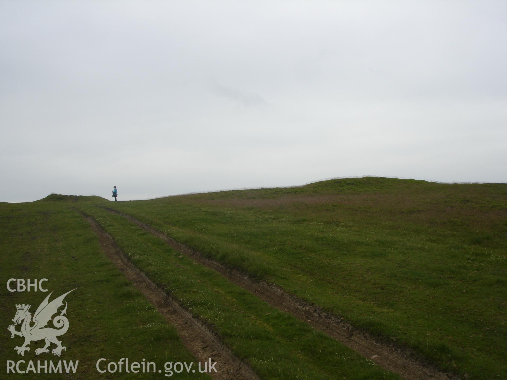 Digital colour photograph of Giants Grave barrow taken on 18/06/2006 by R.P.Sambrook during the Gwaunceste Upland Survey undertaken by Trysor.