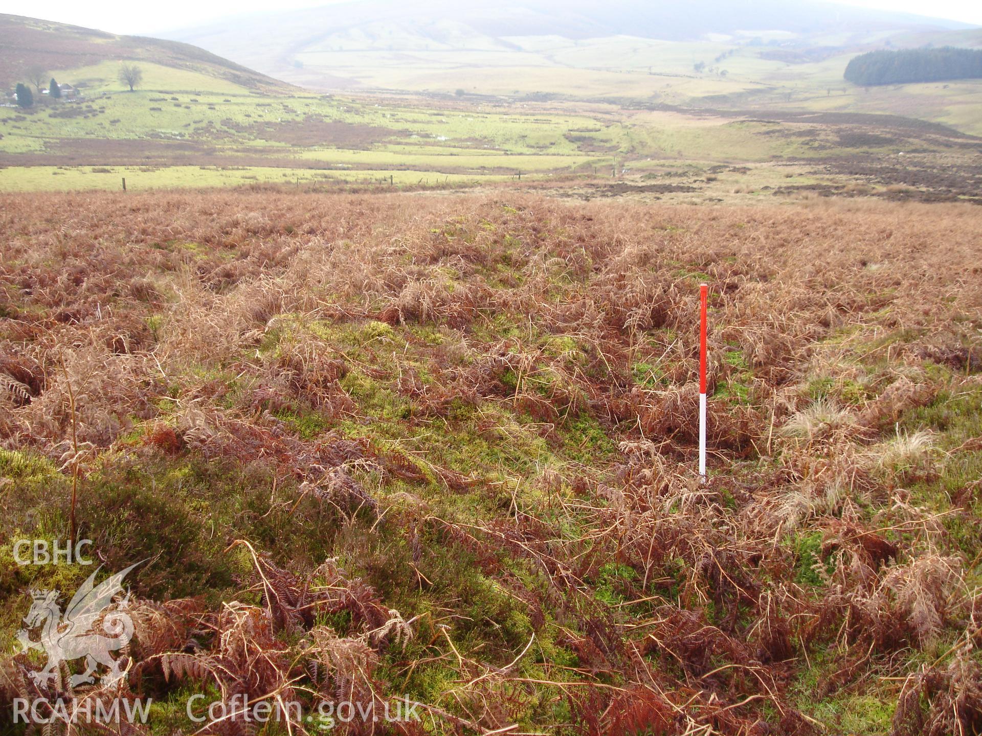 Digital colour photograph of Caety Traylow bank II taken on 22/12/2006 by R.P.Sambrook during the Gwaunceste Upland Survey undertaken by Trysor.