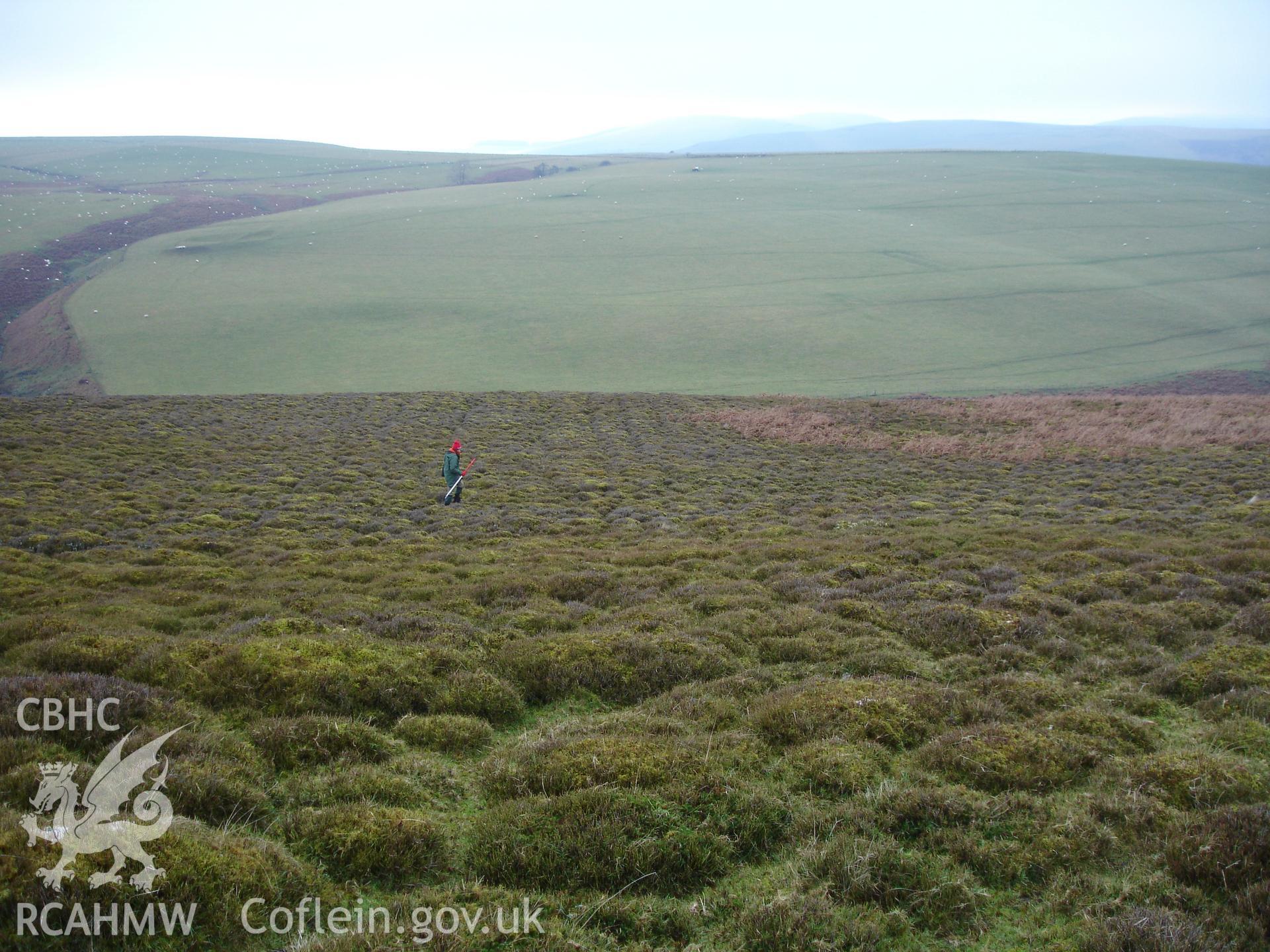 Digital colour photograph of cultivation ridges at Cwm y Bont taken on 22/12/2006 by R.P.Sambrook during the Gwaunceste Upland Survey undertaken by Trysor.