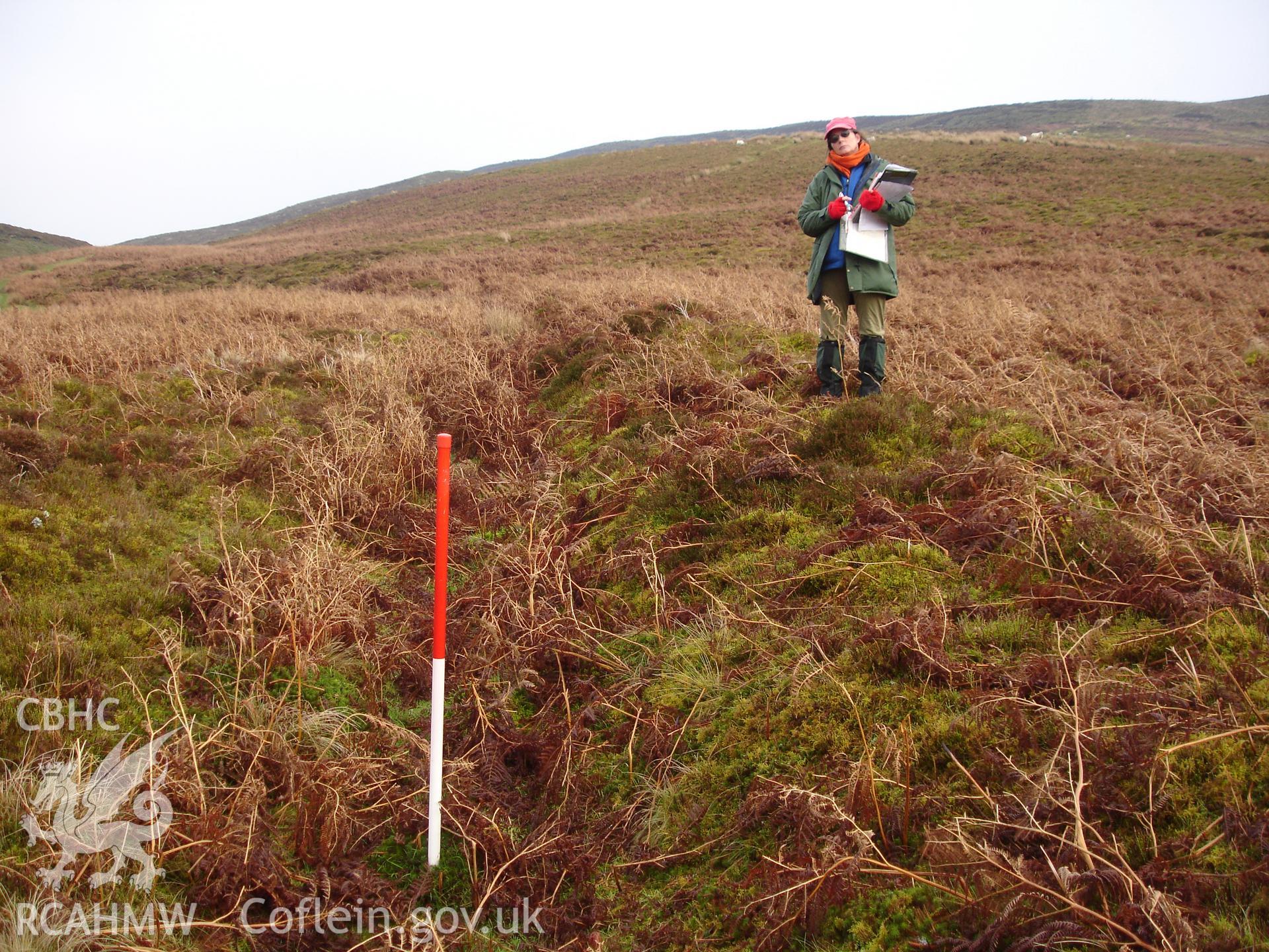 Digital colour photograph of Caety Traylow bank II taken on 22/12/2006 by R.P.Sambrook during the Gwaunceste Upland Survey undertaken by Trysor.