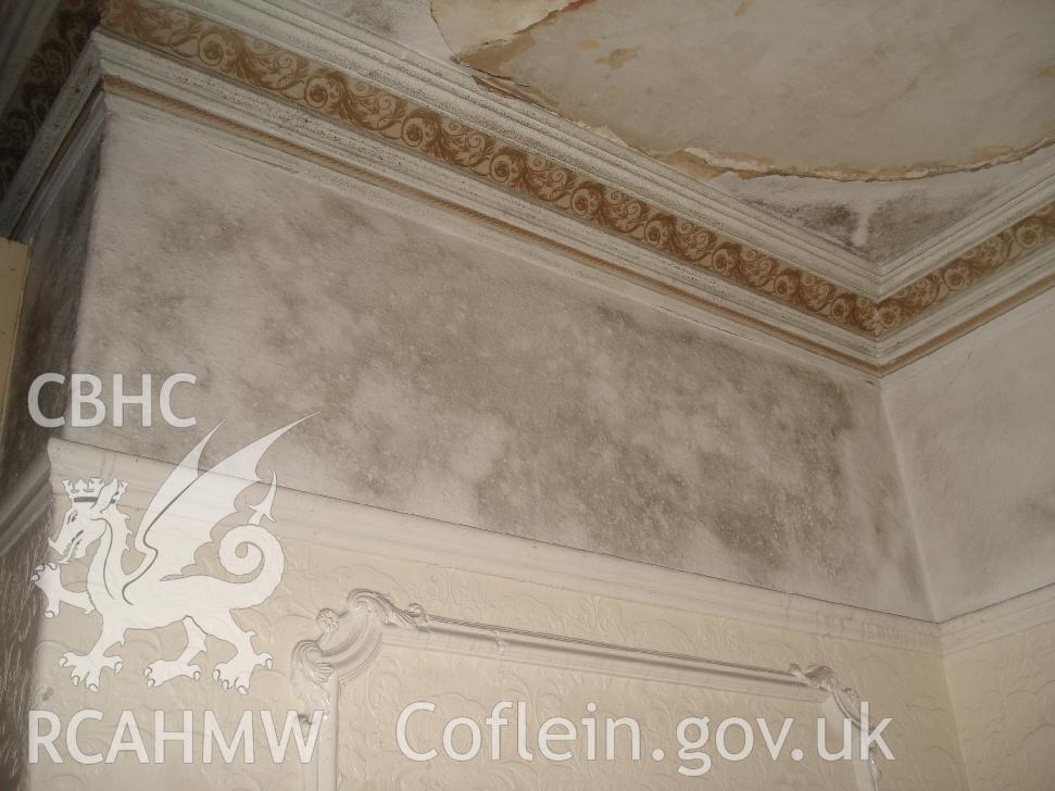 Colour photograph showing cornice and picture rail in a room on the north side of The Grange Hotel produced by JP Architects, 2011.